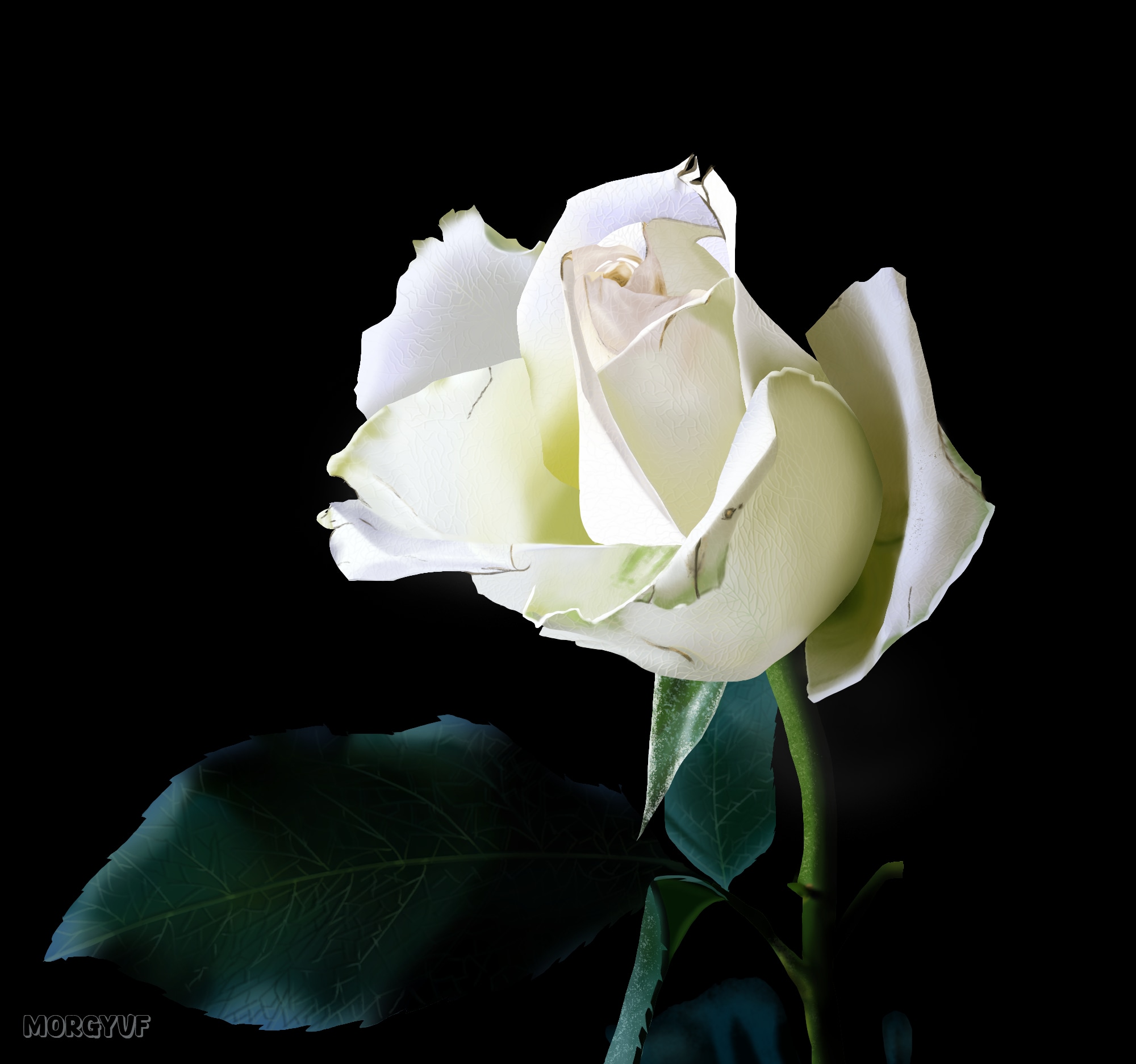 La Rose Blanche ( Aplats + Final ) par MorgyVF