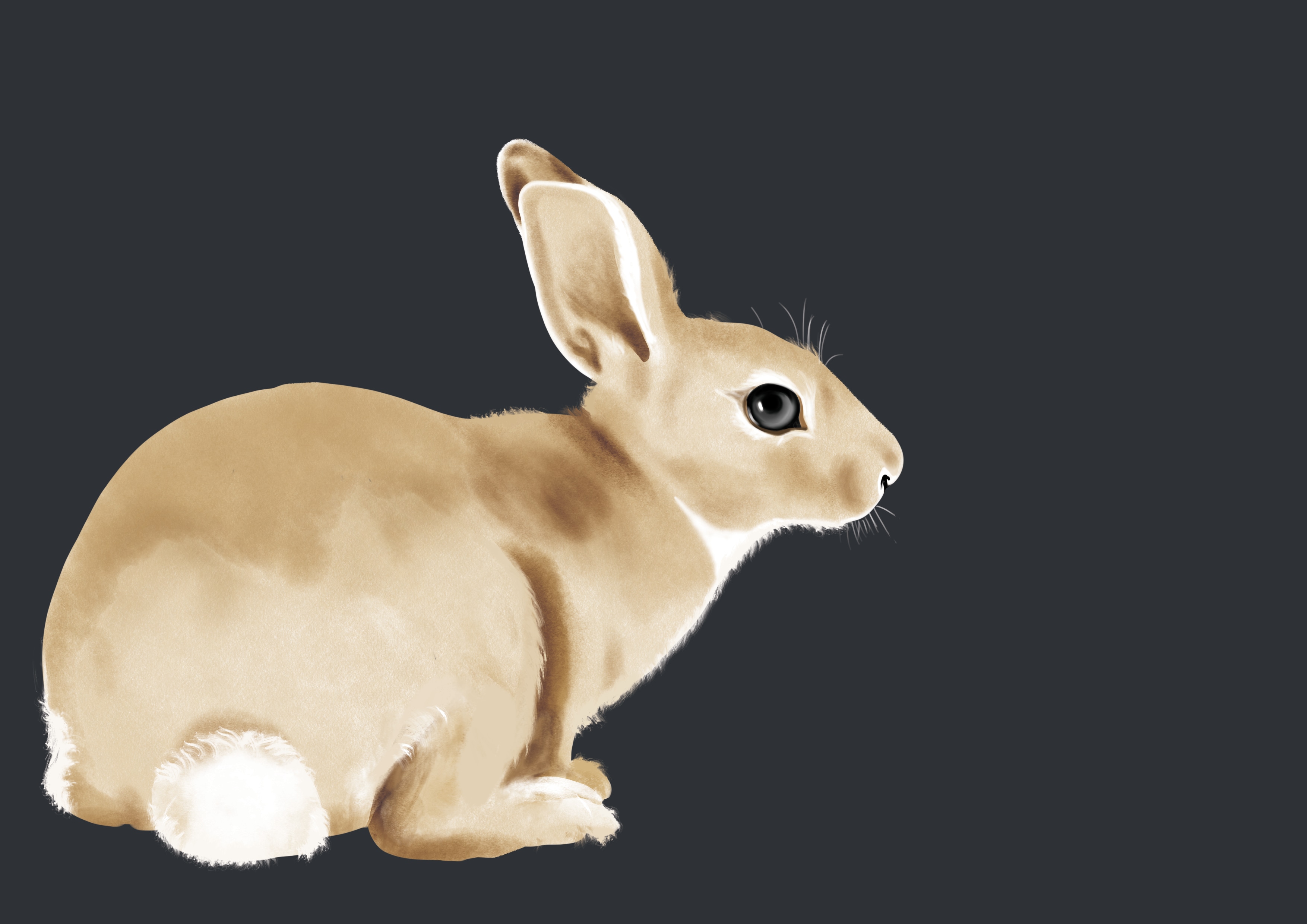 lapin par isobutanol