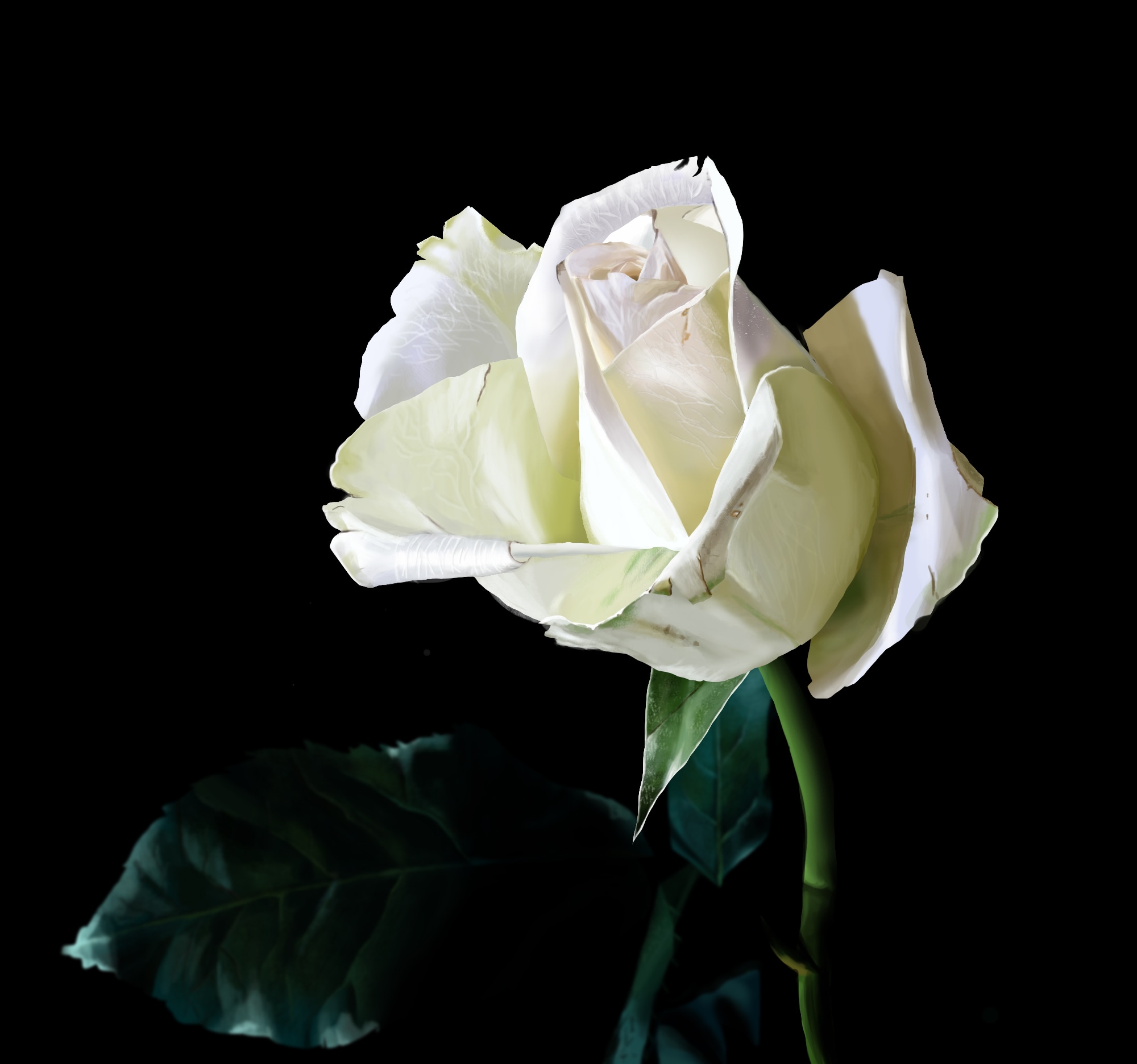 Chapitre 1 - Rose par Raks