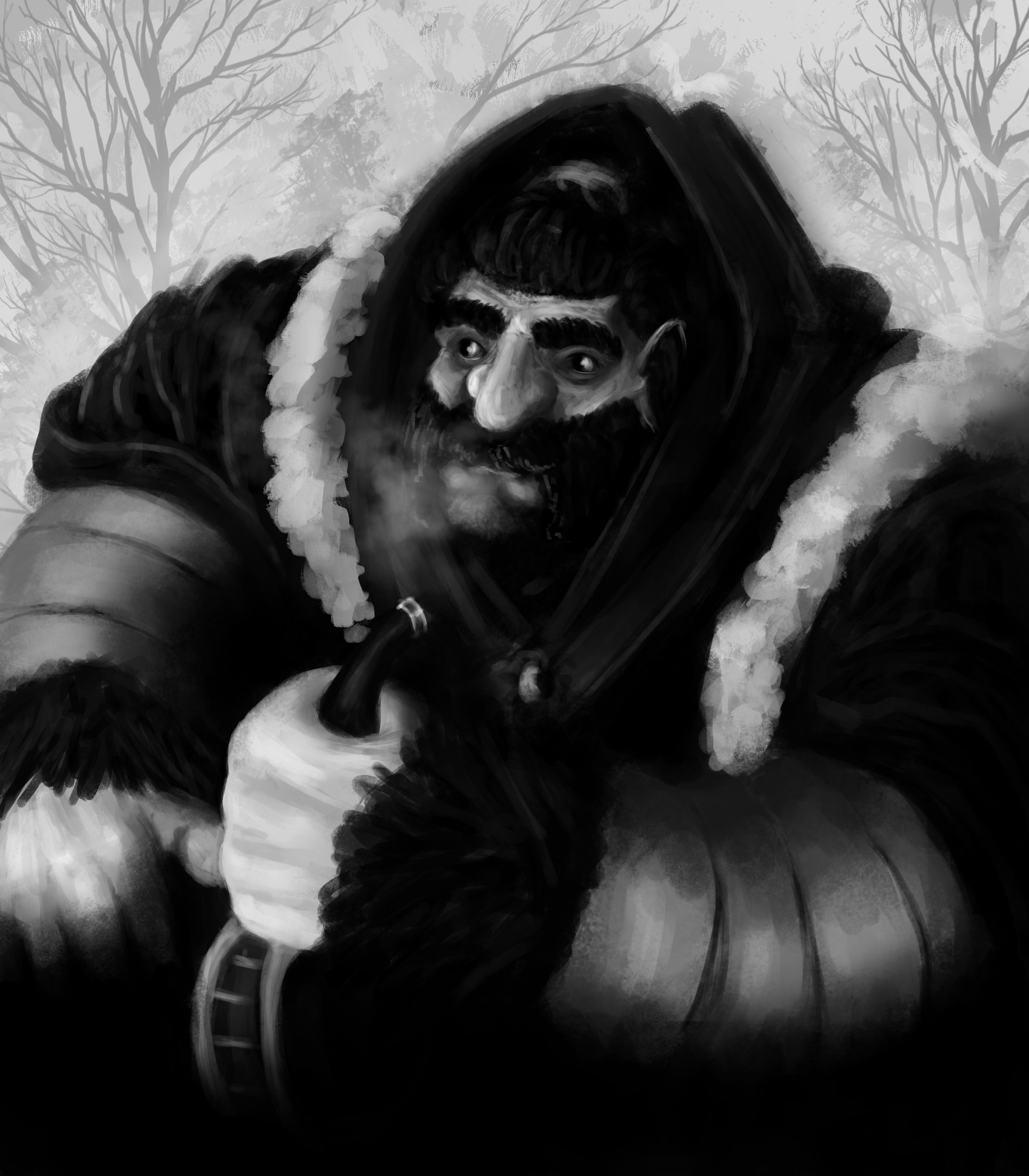 le blizzien par lagarzoute