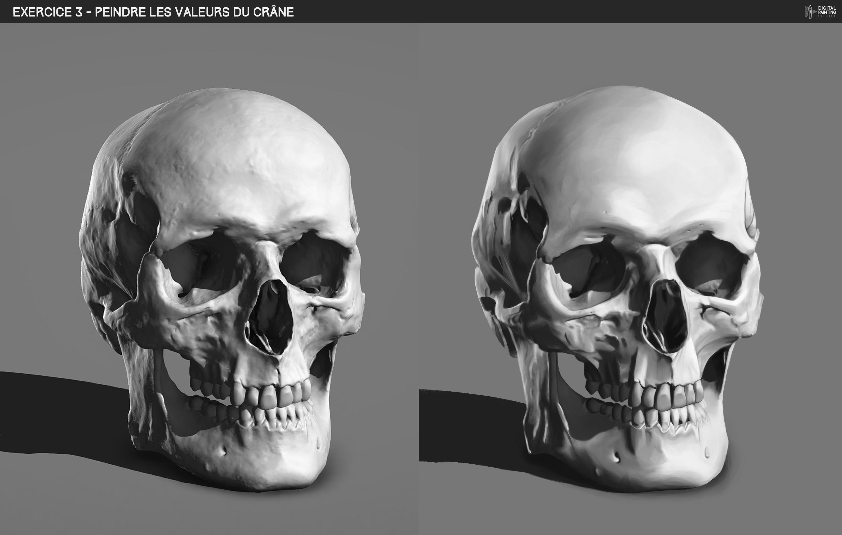 Le Crâne - Chapitre 4 Partie 1 par MorgyVF