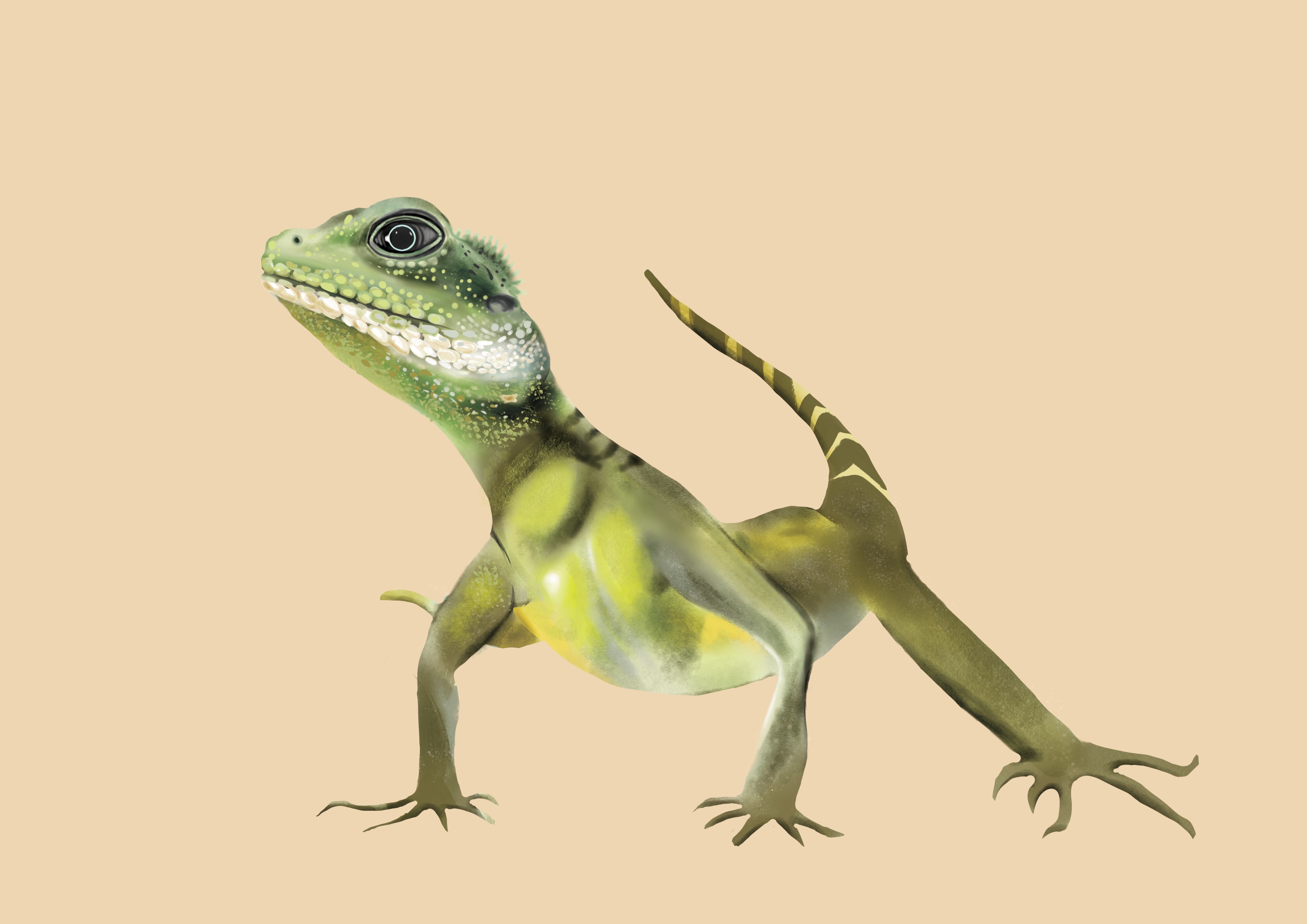 Lézard par isobutanol