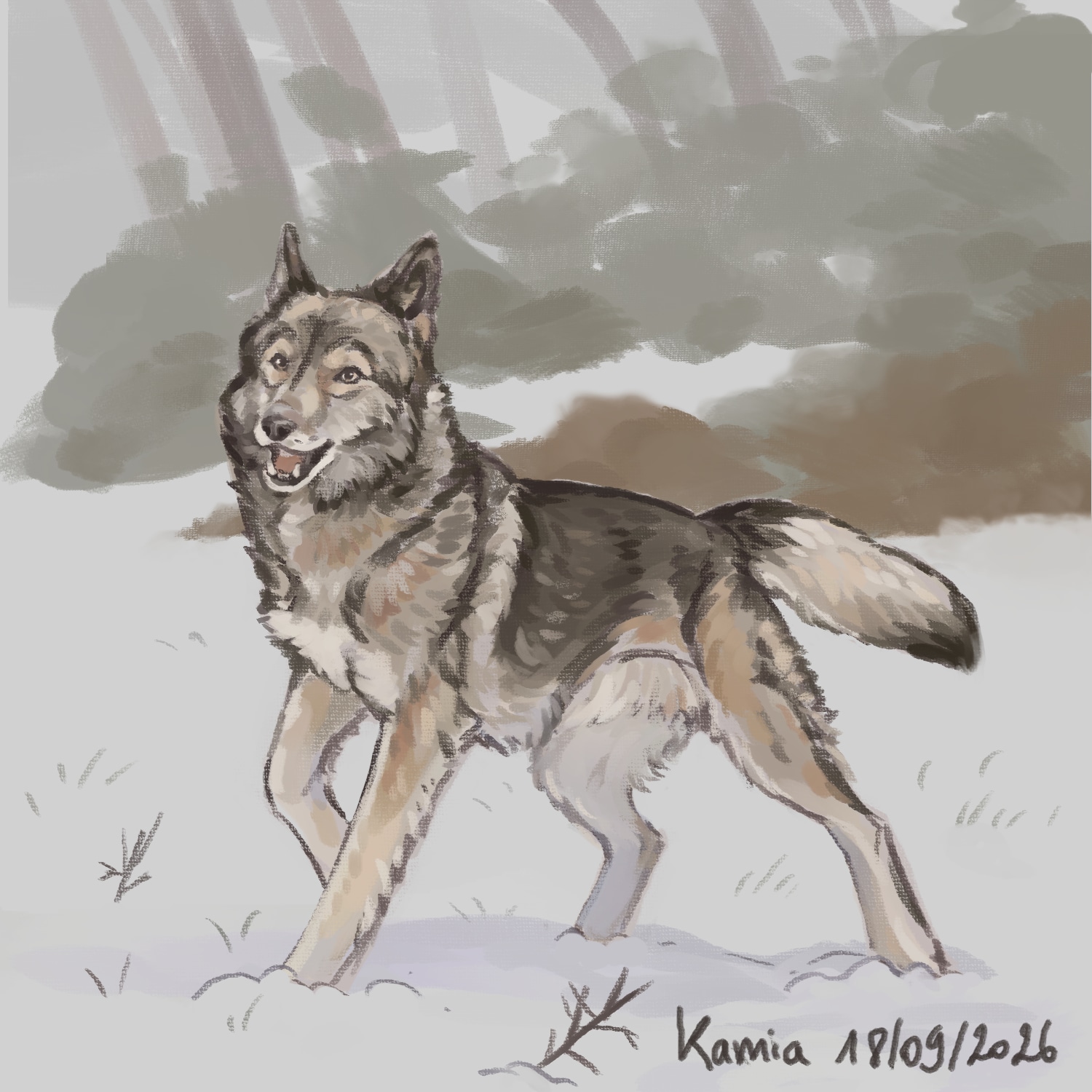 Loup heureux - DP digital, style à l'huile/ acrylique par roi_loup
