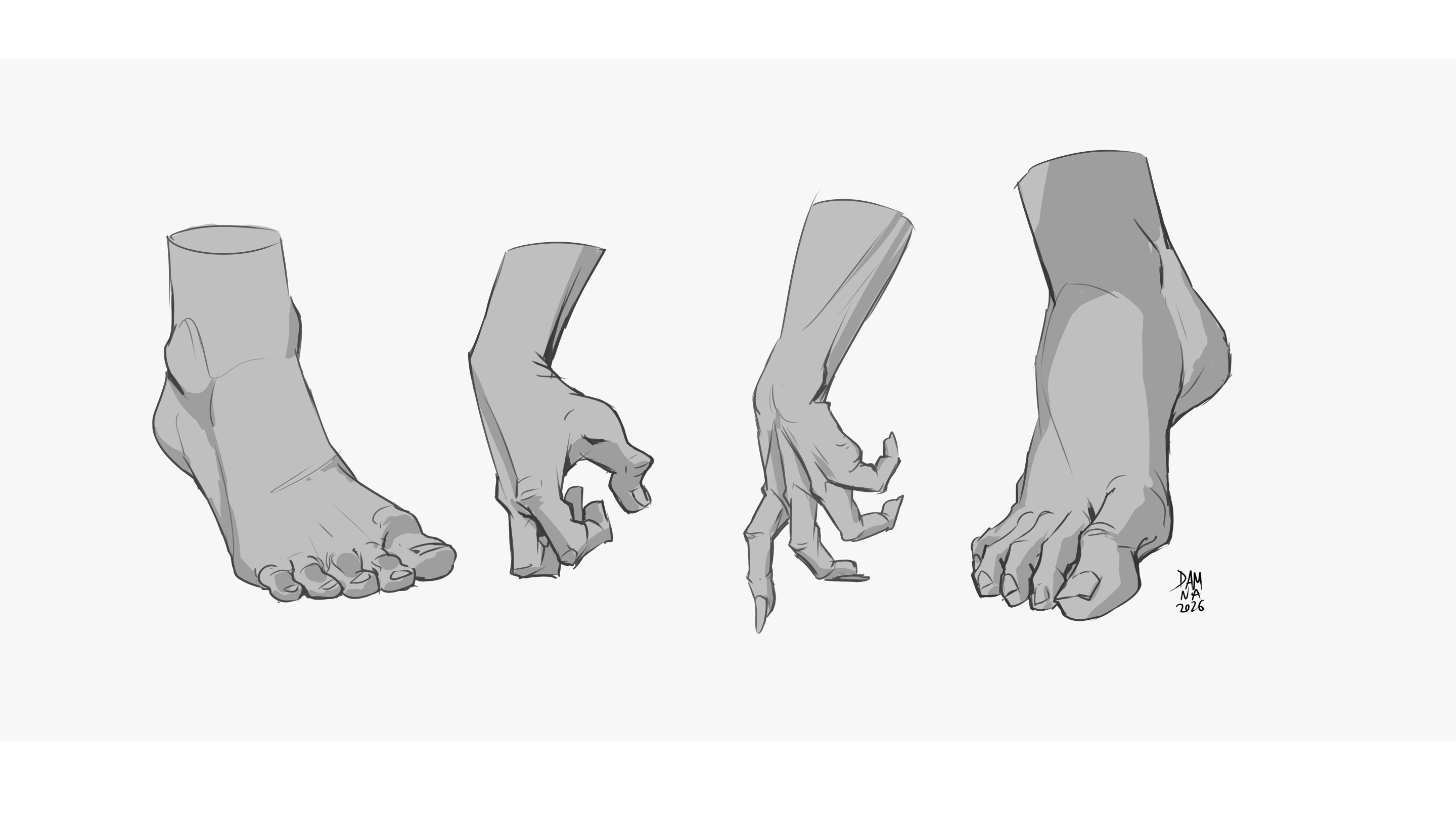 Etudes Anatomiques par Dam Na