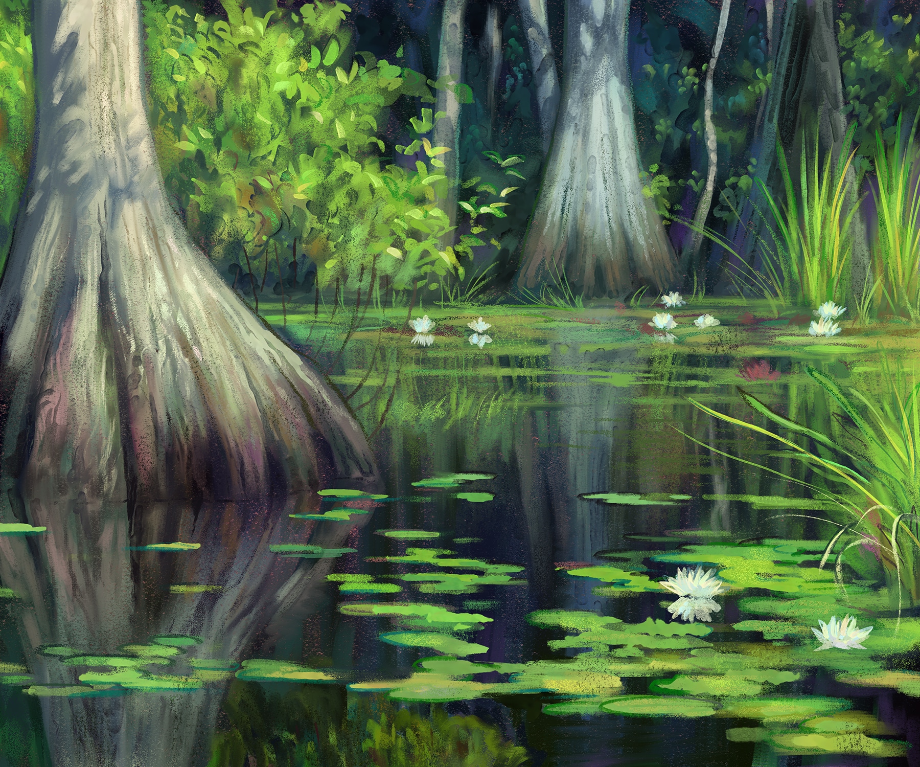 Étude mangrove par Alex