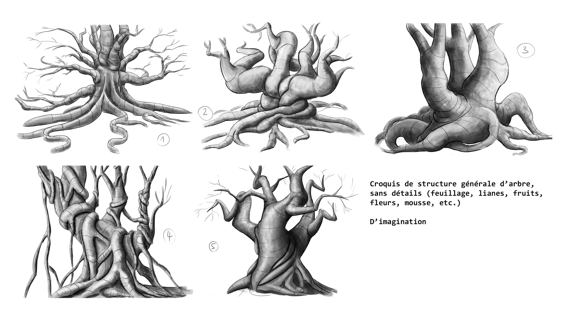 Forêt enchantée_L'Arbre-Source par matt_l
