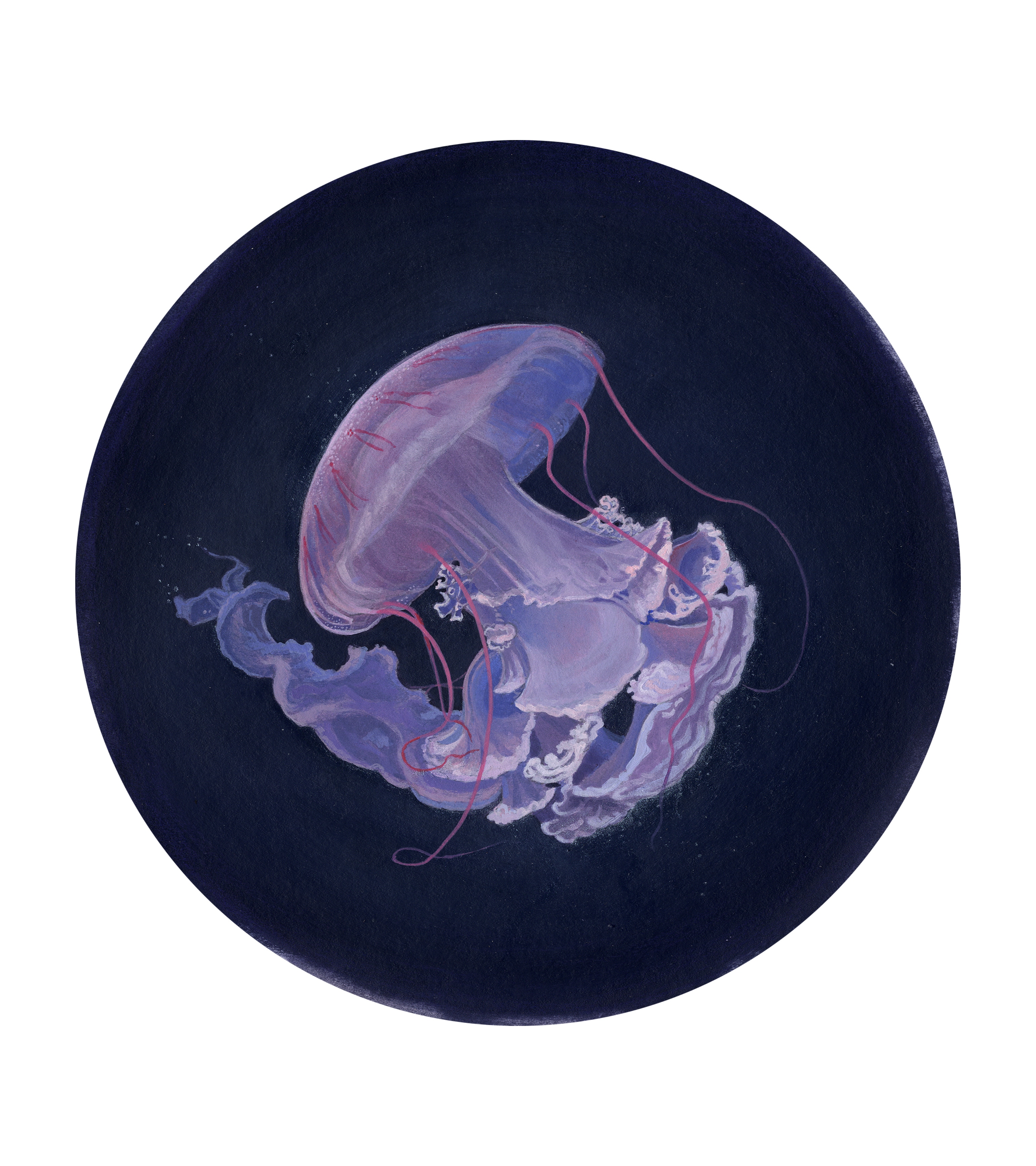 Méduse par coz_art