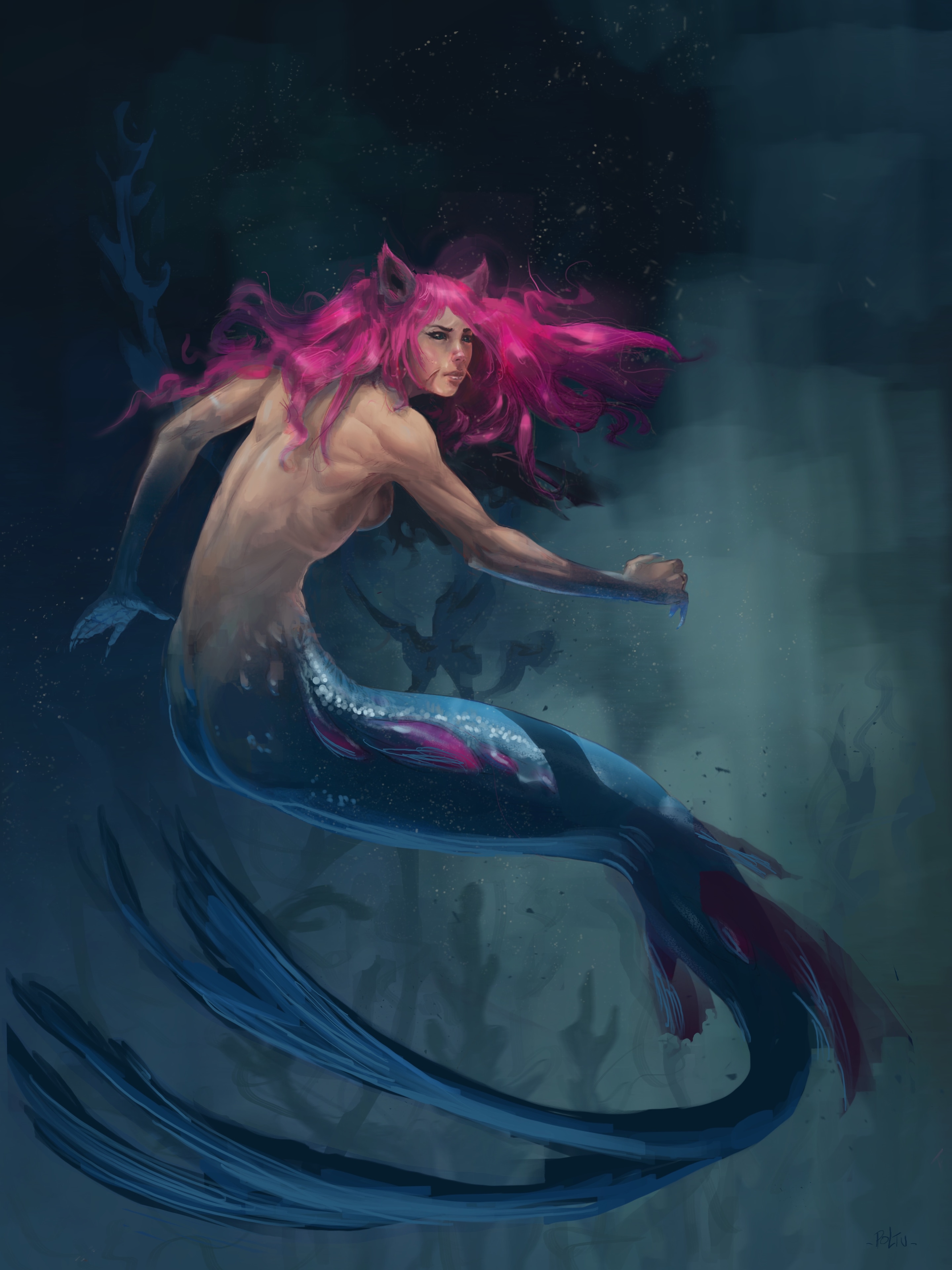 Mermaid (redraw septembre 2025 vs mai 2024) par poltu