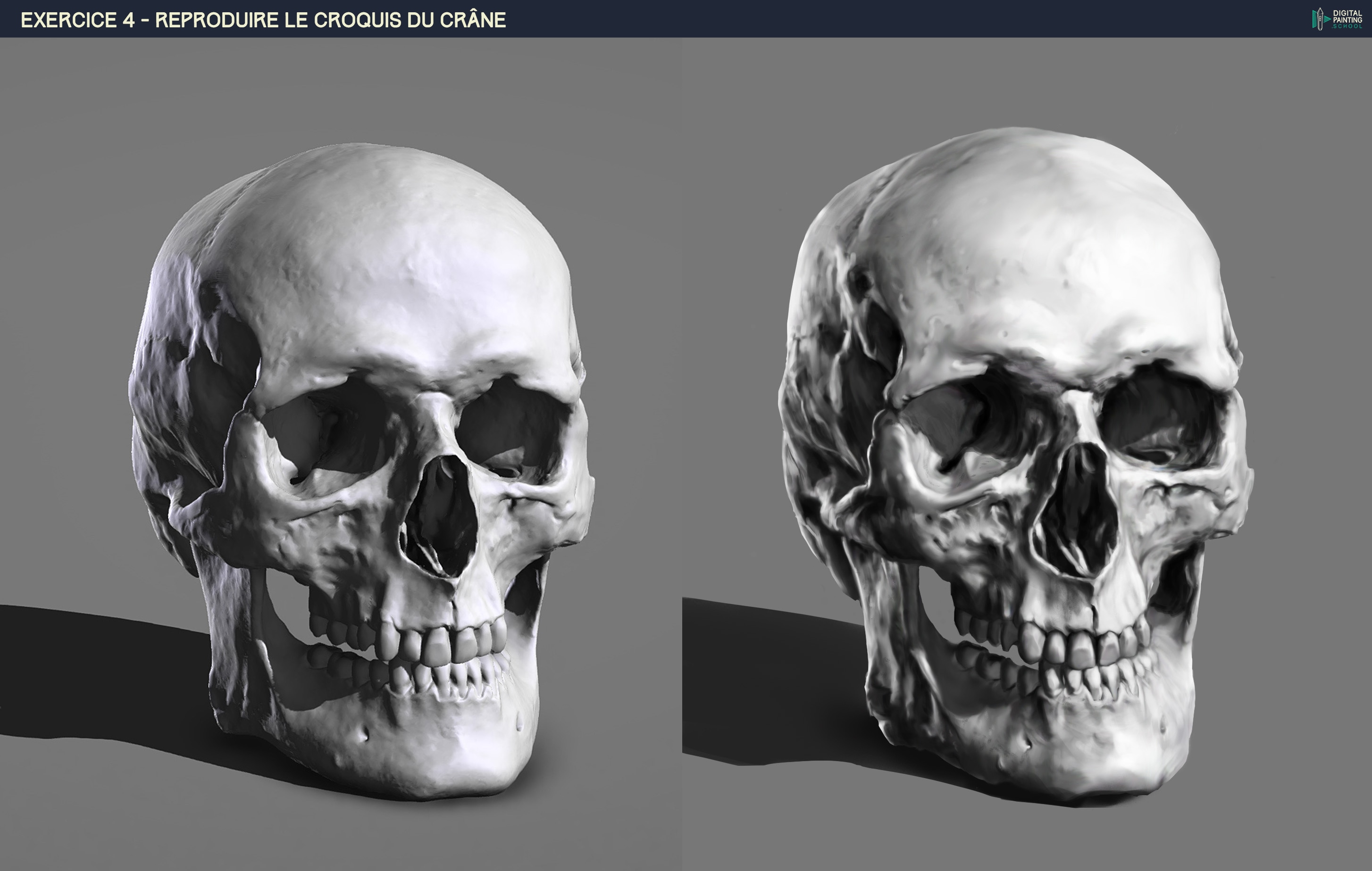 exercice crâne par joss31