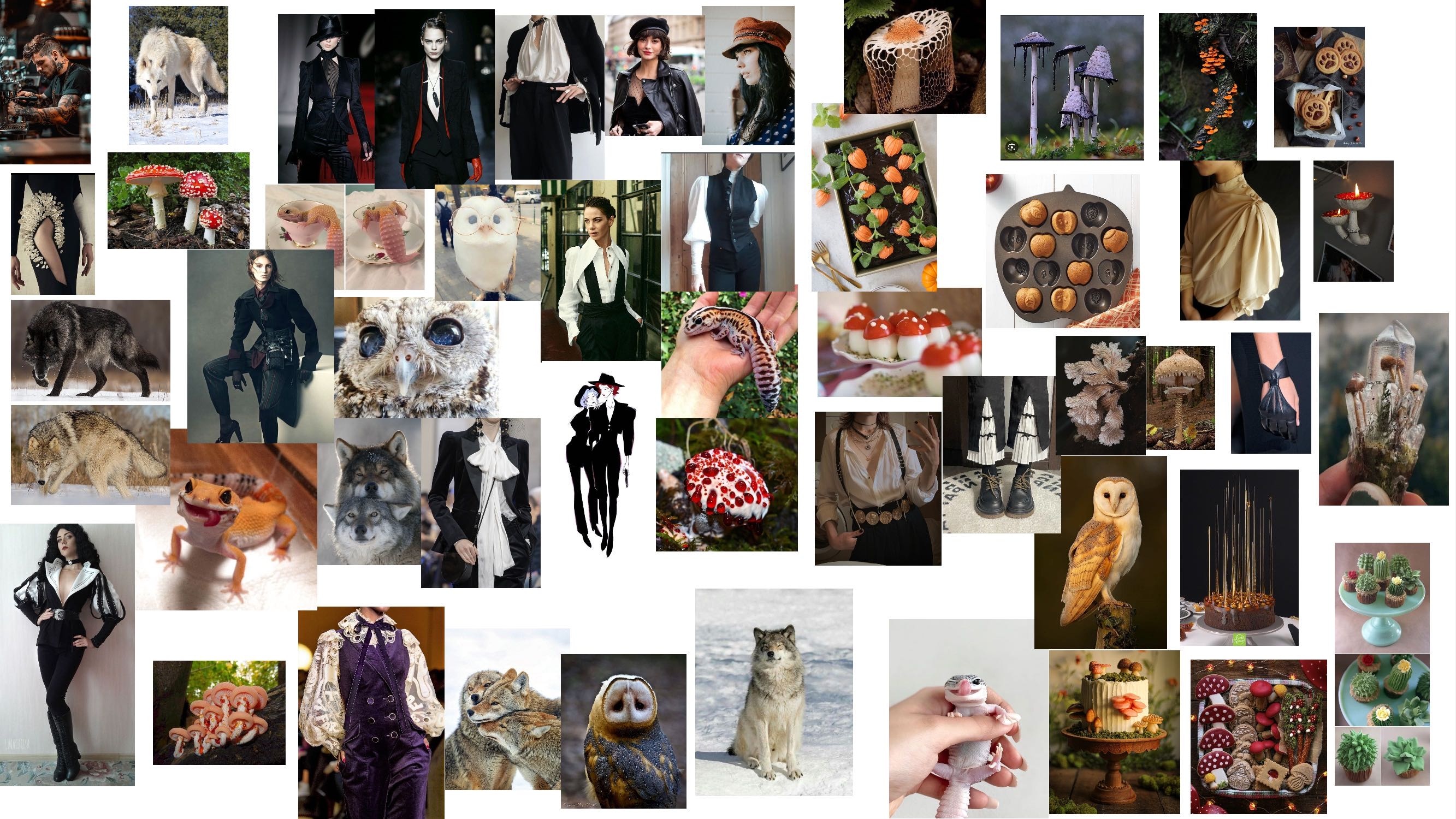 Gecko Magician 🍄 par CleWolf