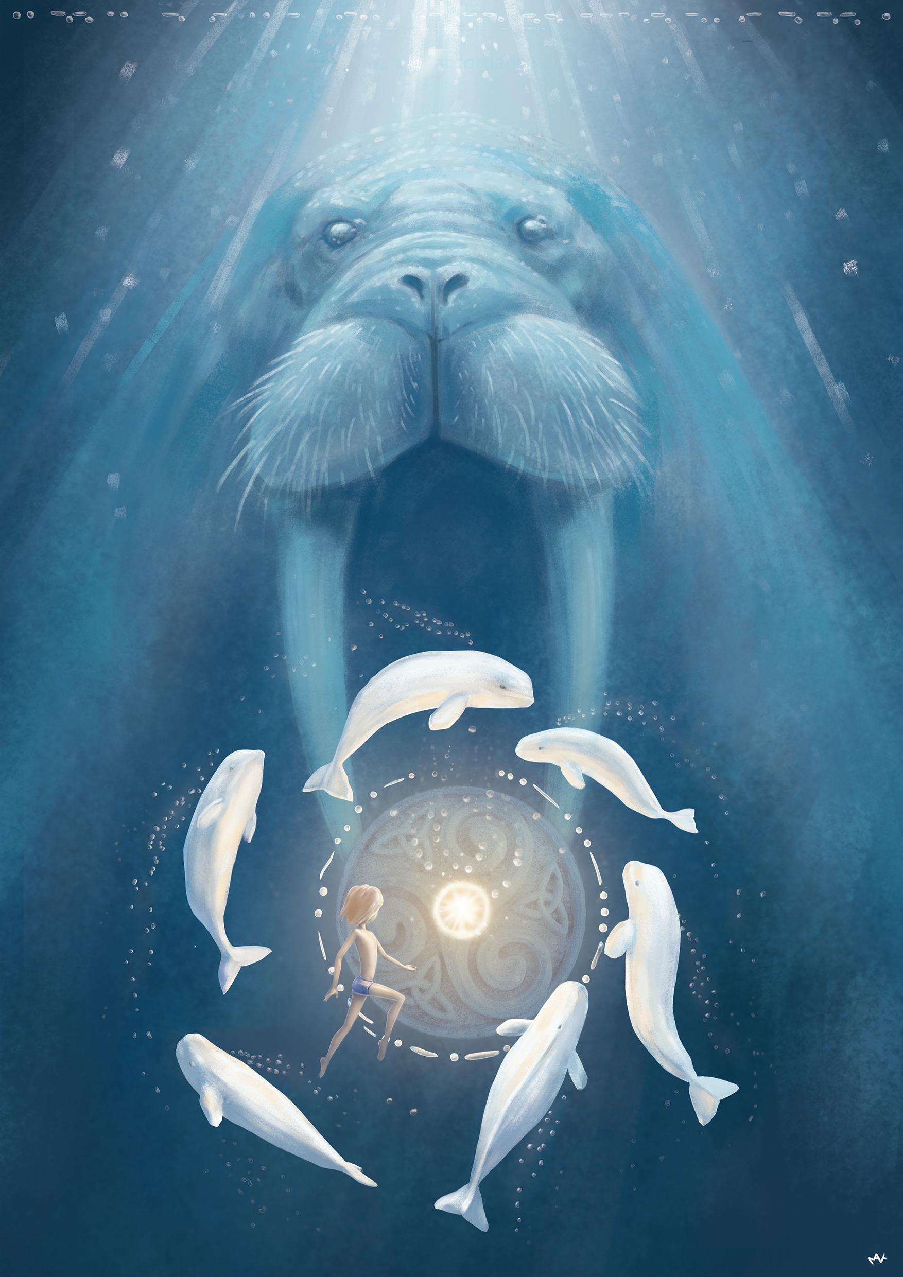 Le Morse, Plume et les bélugas par cormoran