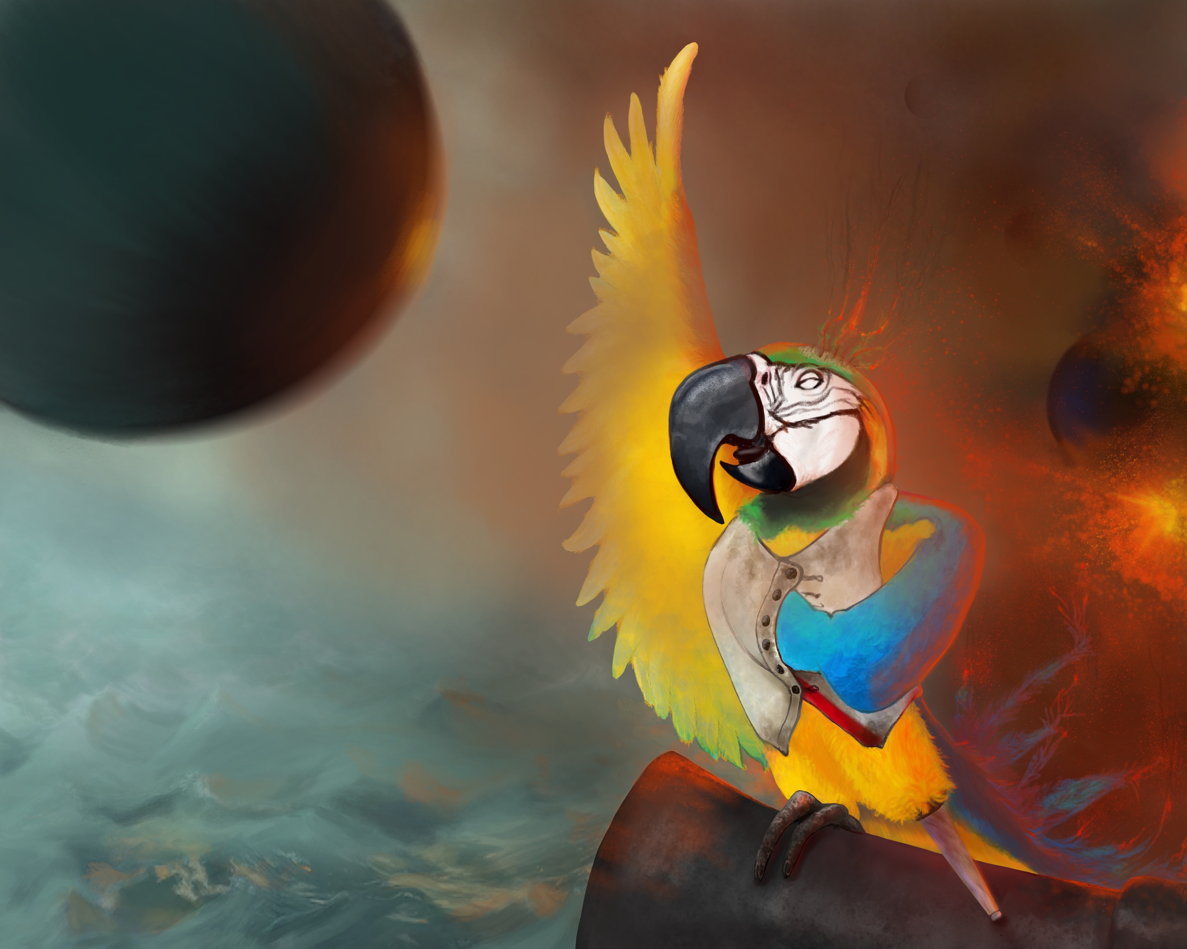 Napoléon, le perroquet pirate fou par goot