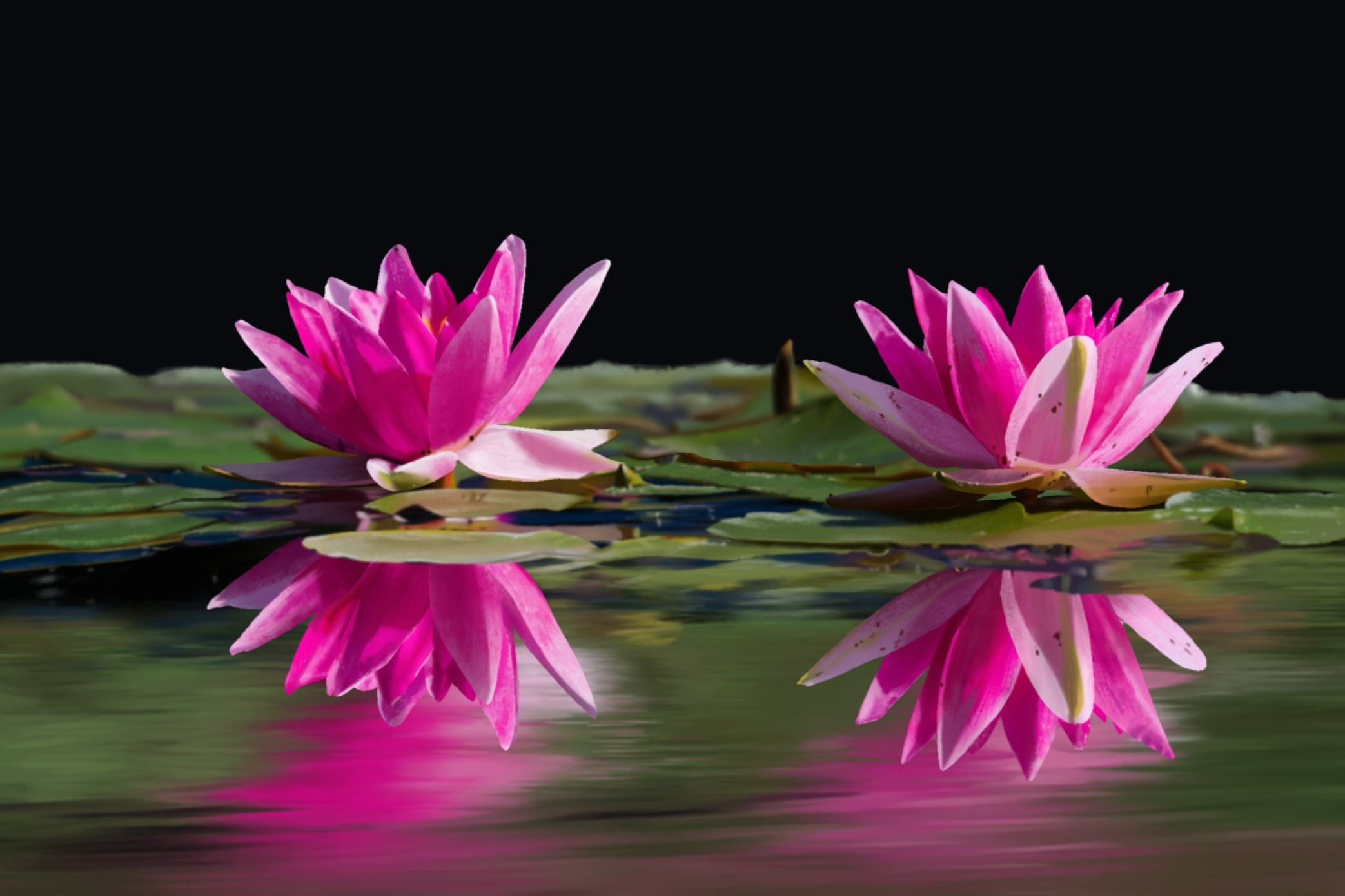 CHAP 1 - Les nénuphars par mylenelb