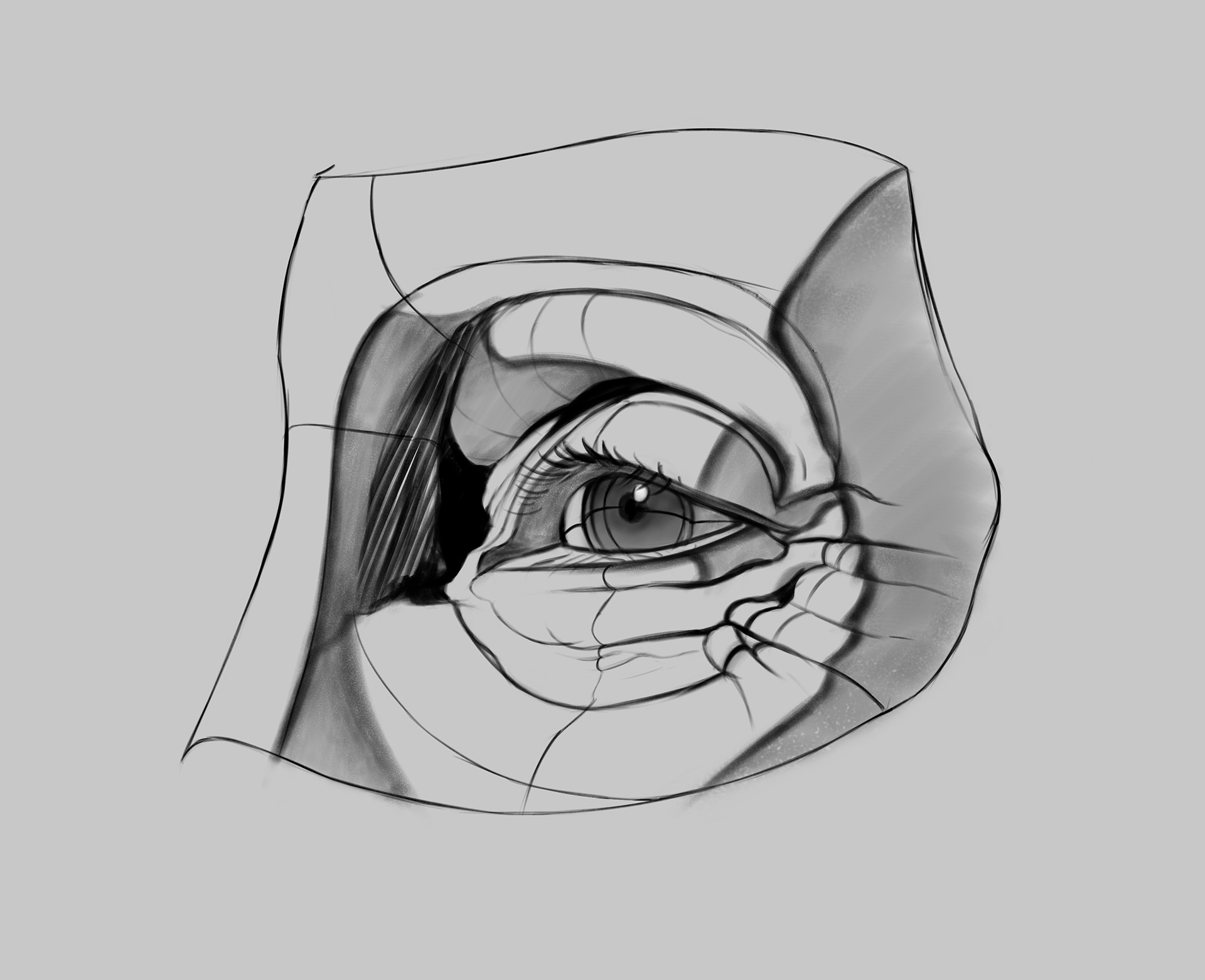 exercice_oeil par reglisse90