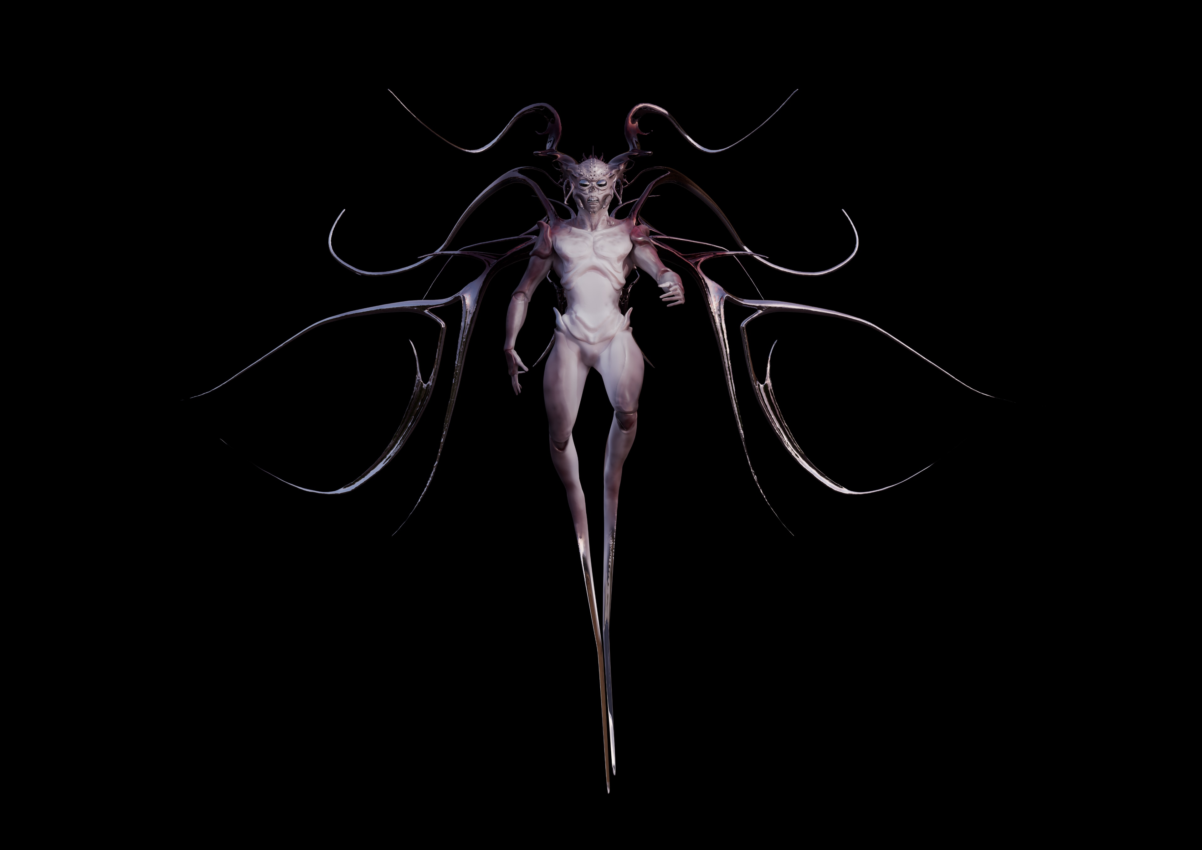 HOMO INSECTUS par soys