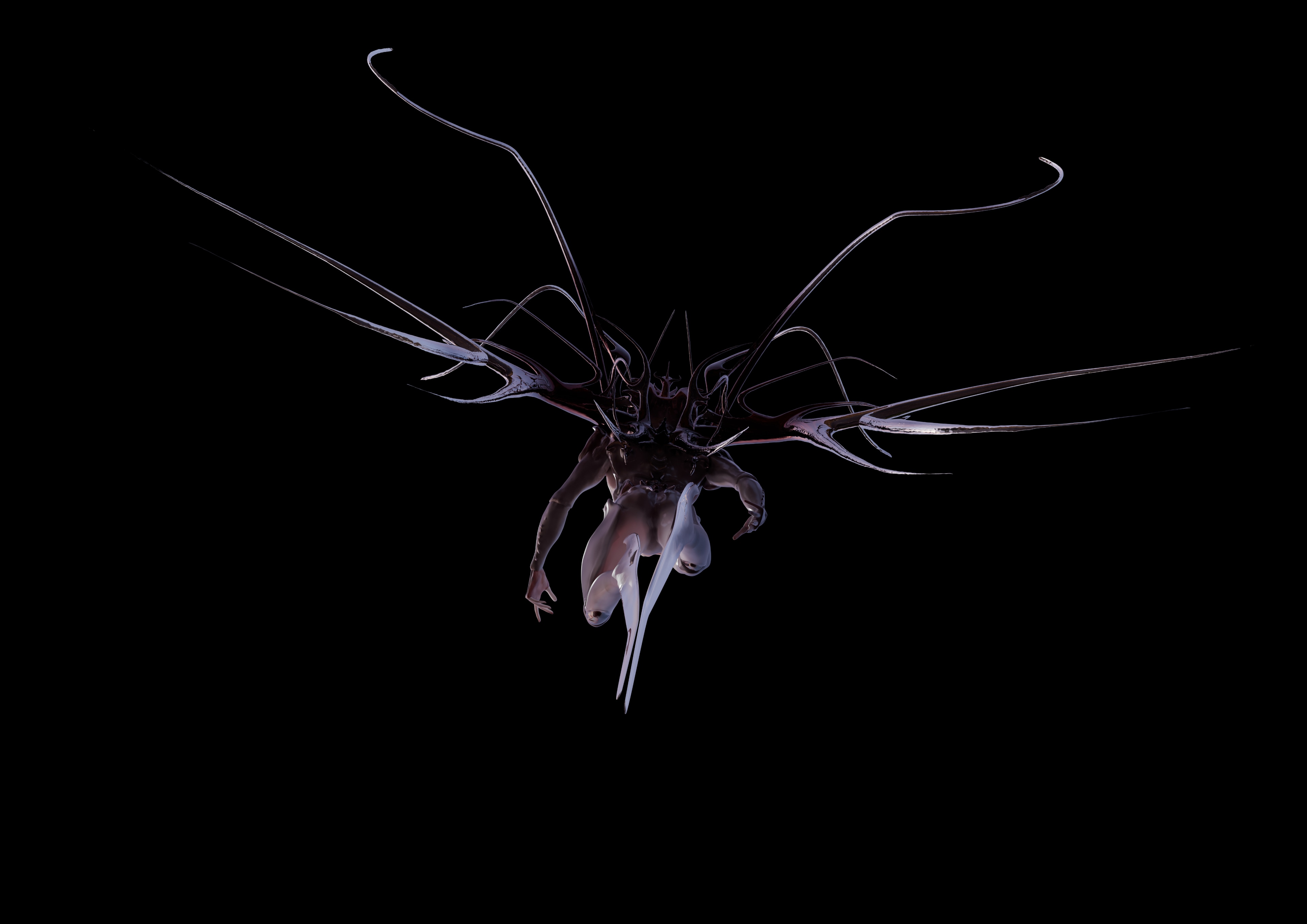 HOMO INSECTUS par soys