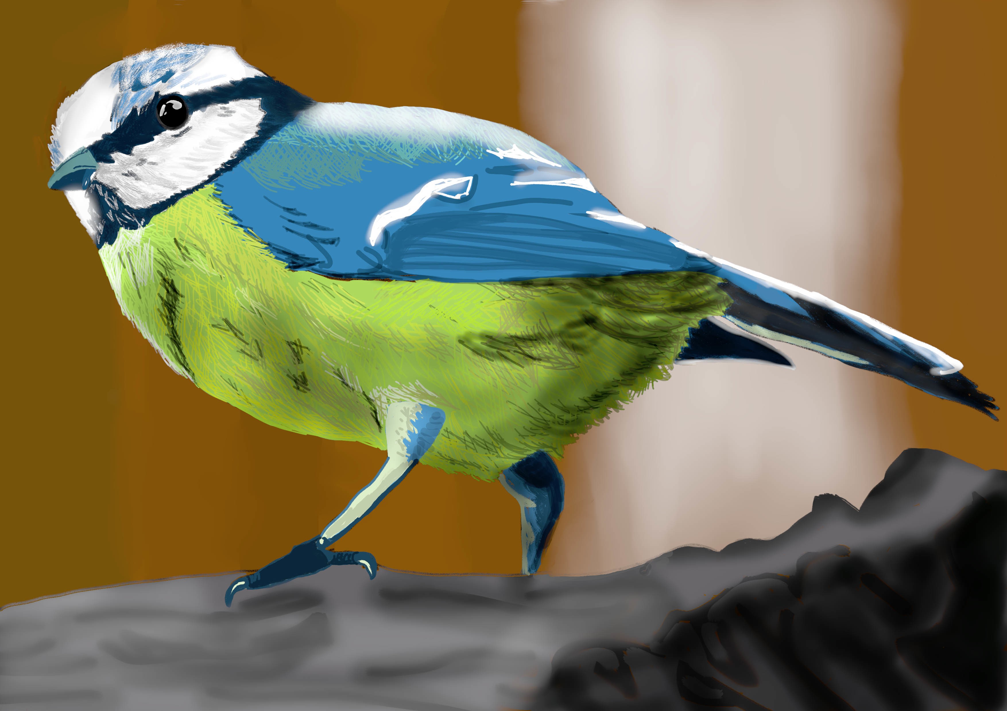OISEAU color 1 par Cinabre