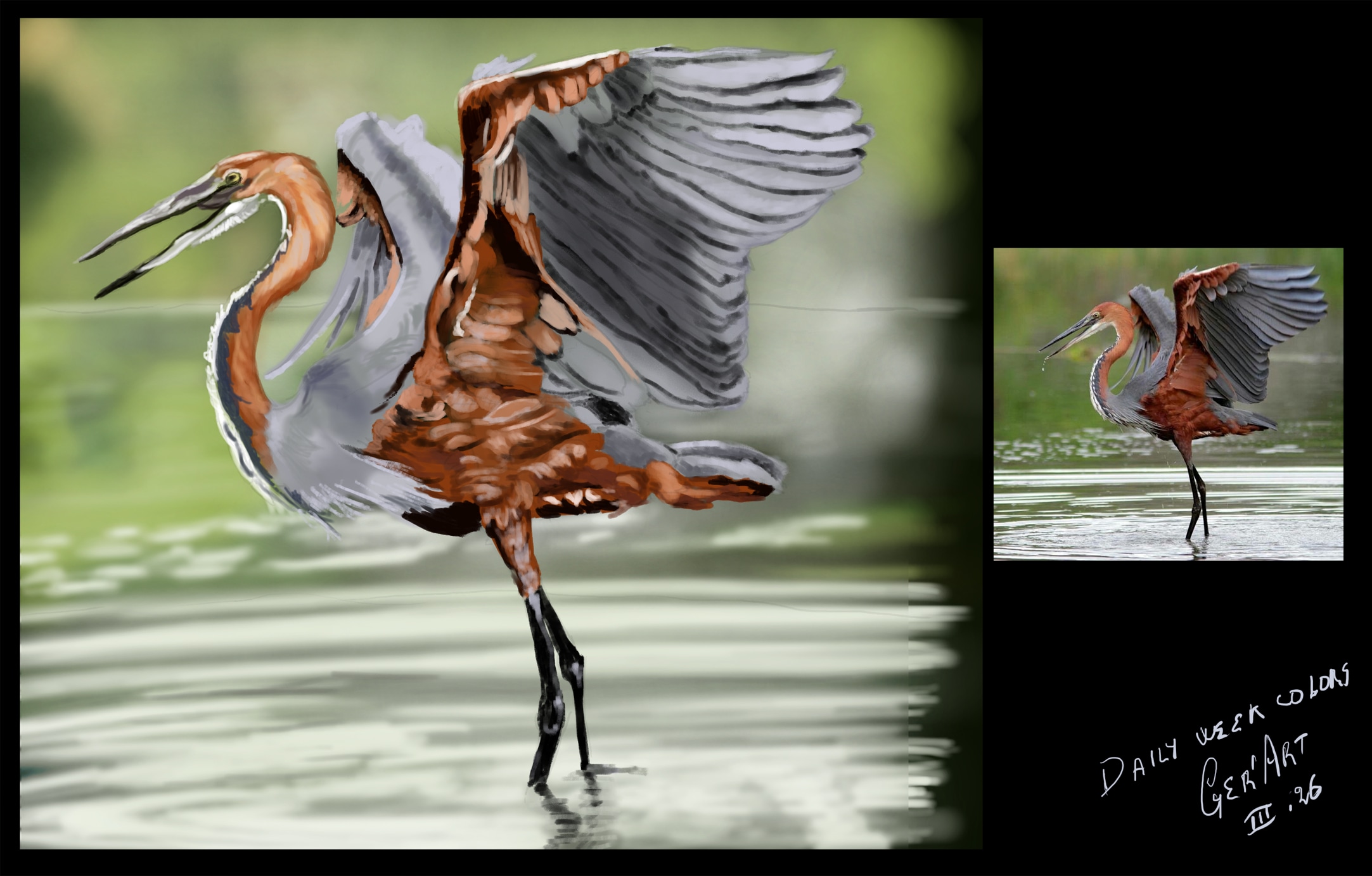 daily week oiseau couleurs par djeidjei