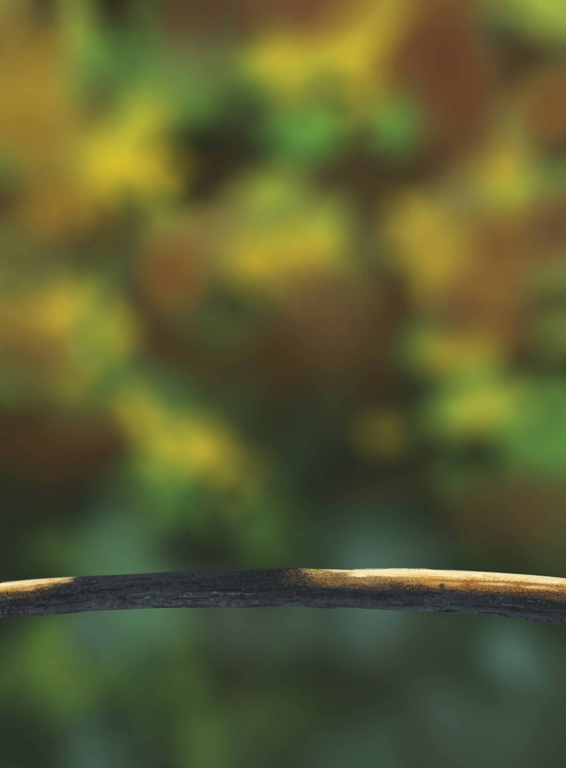 ch1 - oisillons par glabouski