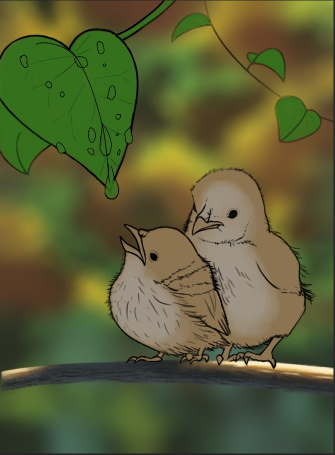Chapitre 2 : exrcice 6 "croquis oisillons" par Jenny60