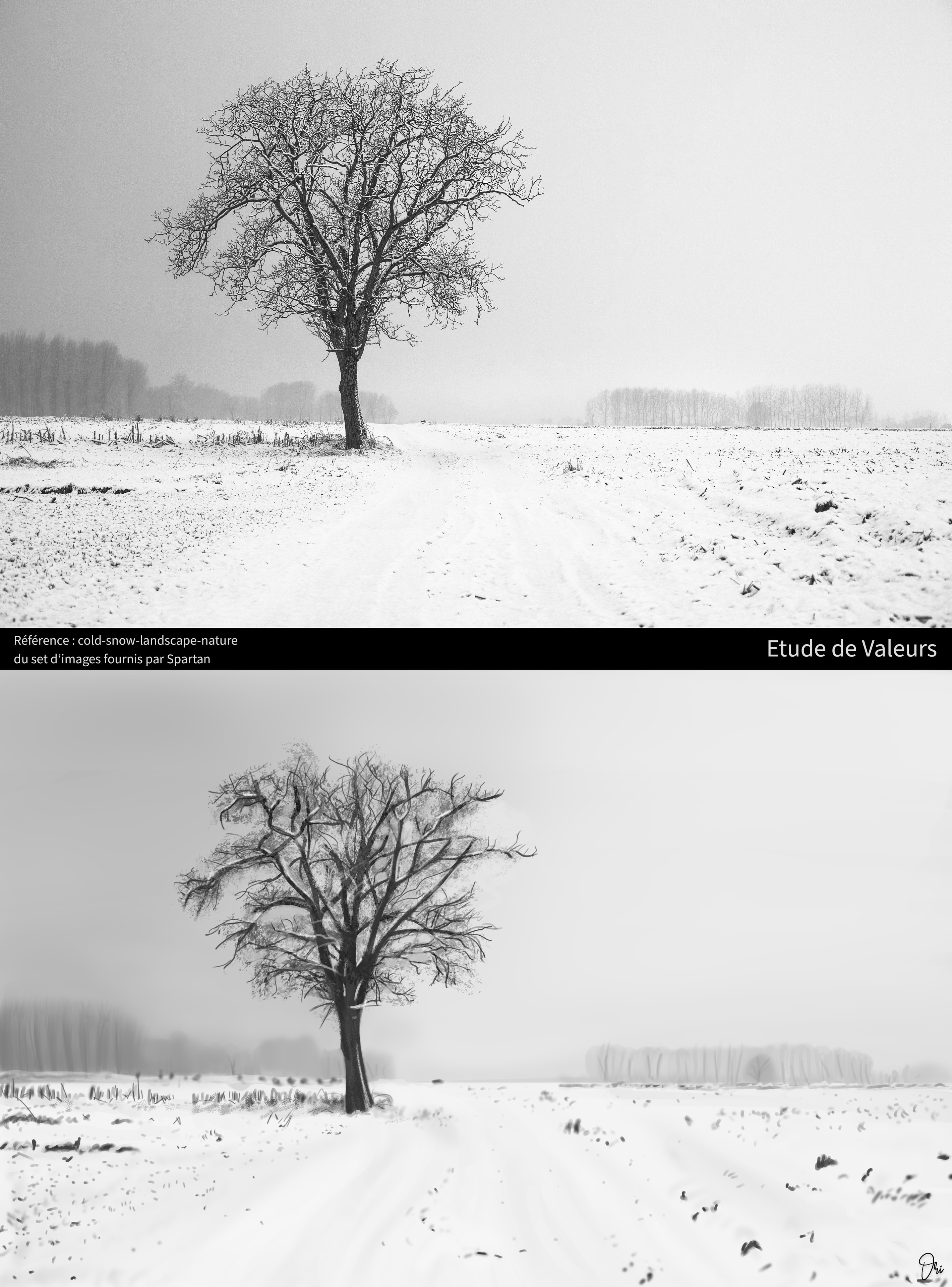 Partie I - chapitre 4 : Valeurs - l'ensemble de mes exercices. par ori