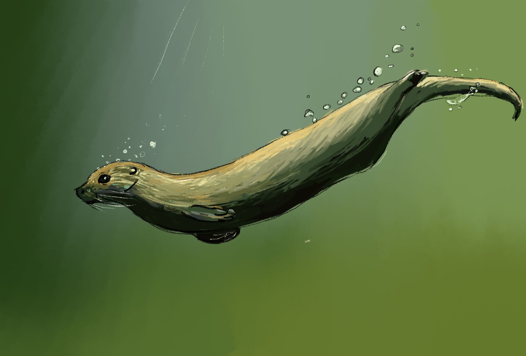 Otterspace par AliceClsn