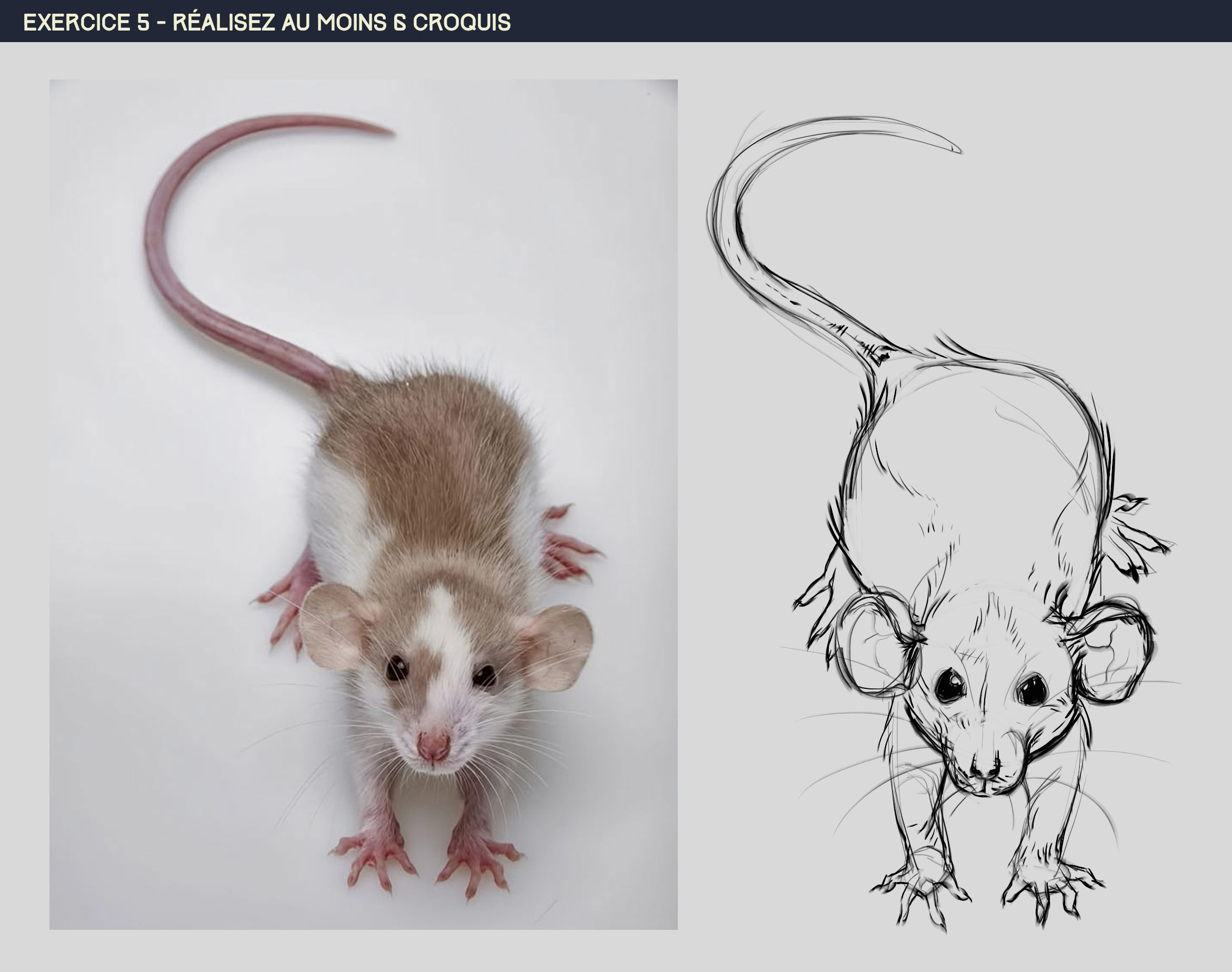 P1 - CH2 - Ex 5 : Croquis par Chaber