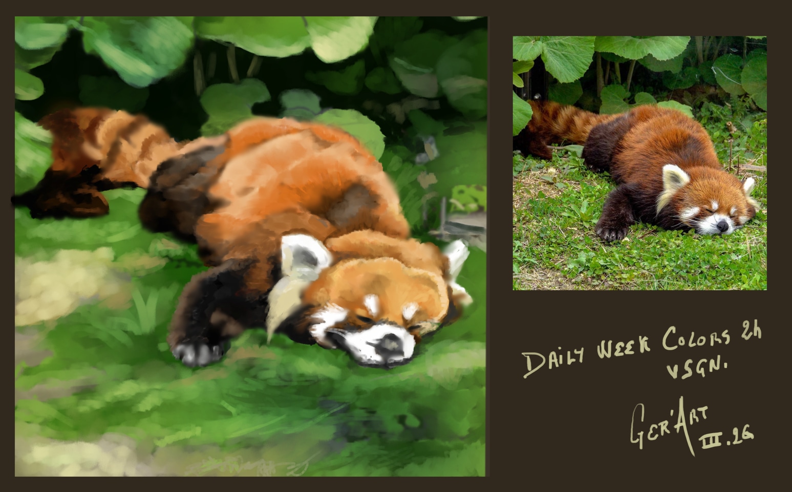 daily week panda couleurs par djeidjei