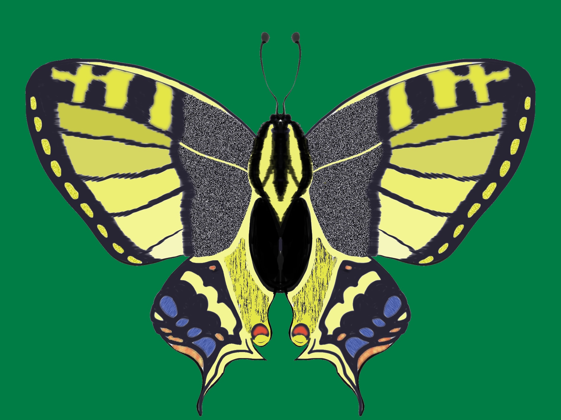 Des papillons pour débuter. par alex_chatain