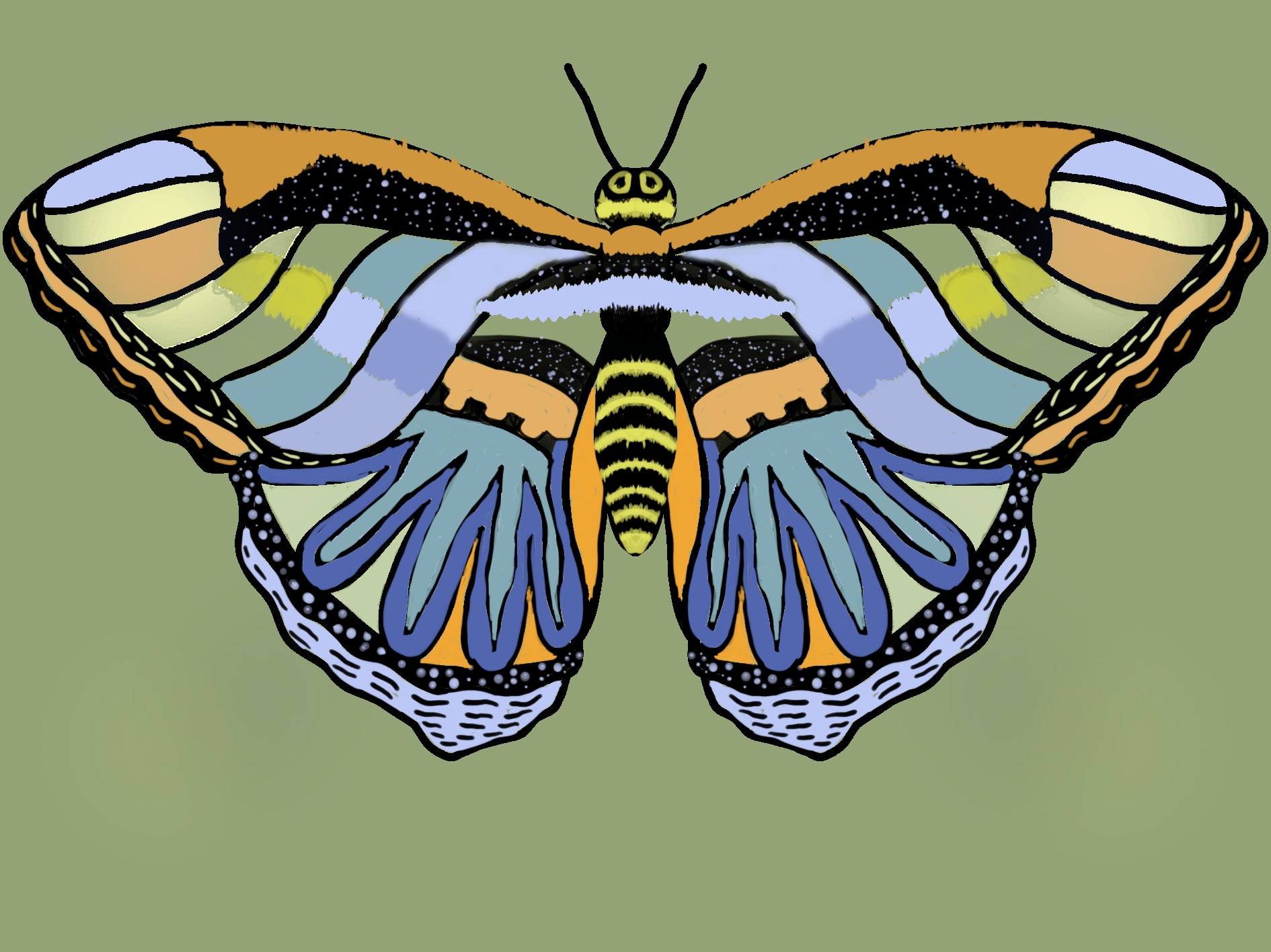 Des papillons pour débuter. par alex_chatain