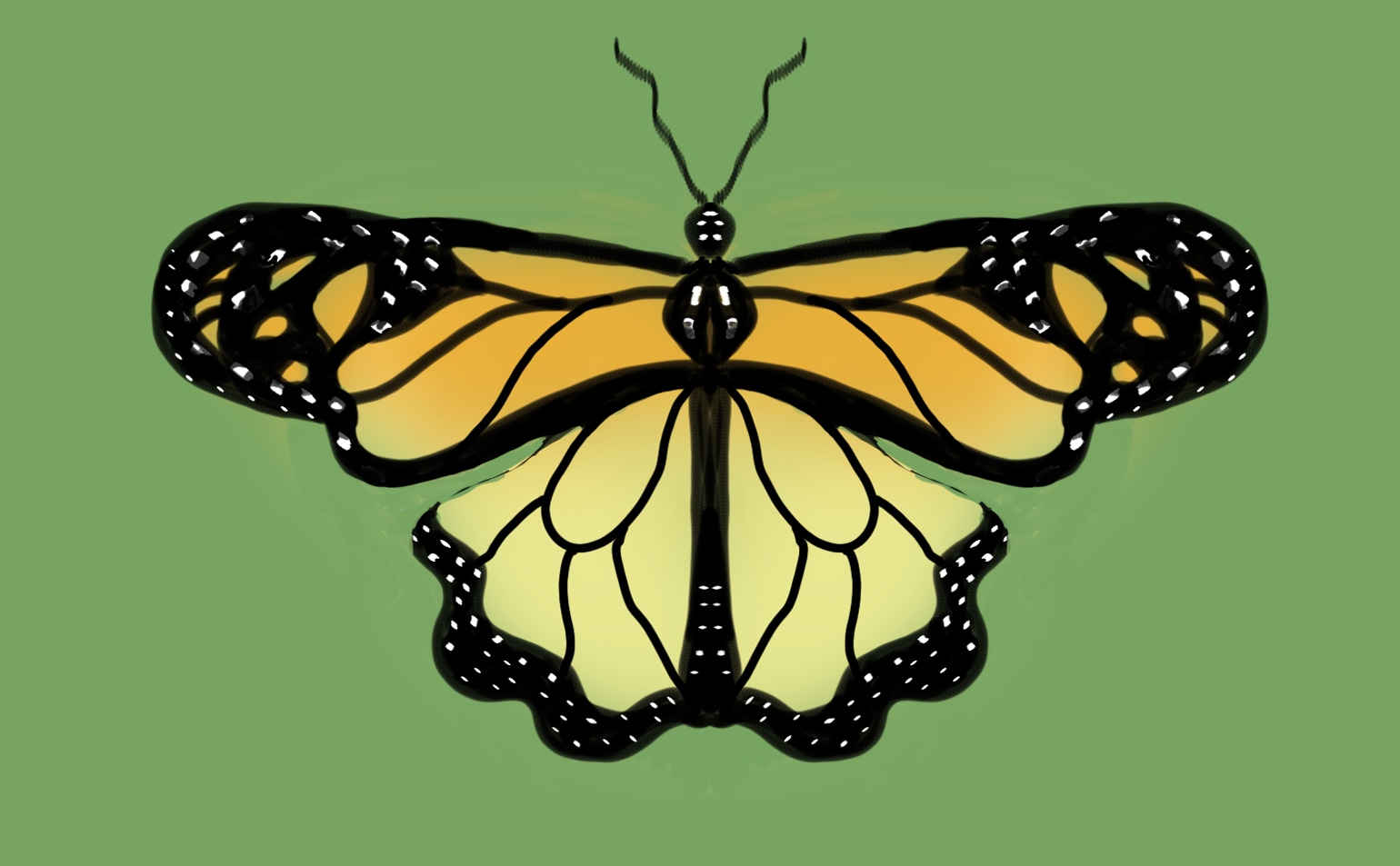 Des papillons pour débuter. par alex_chatain