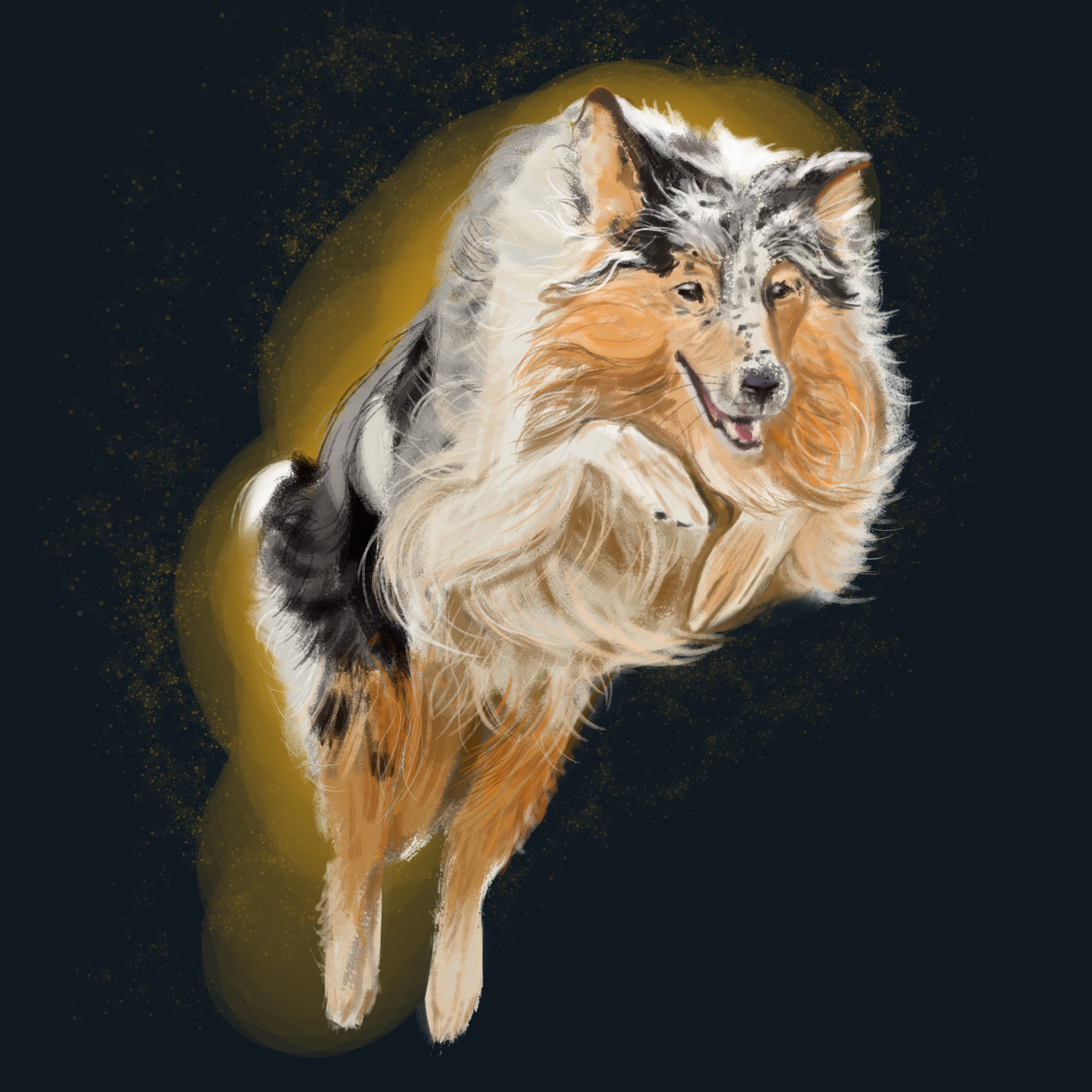 Un toutou par Lapanthereloir