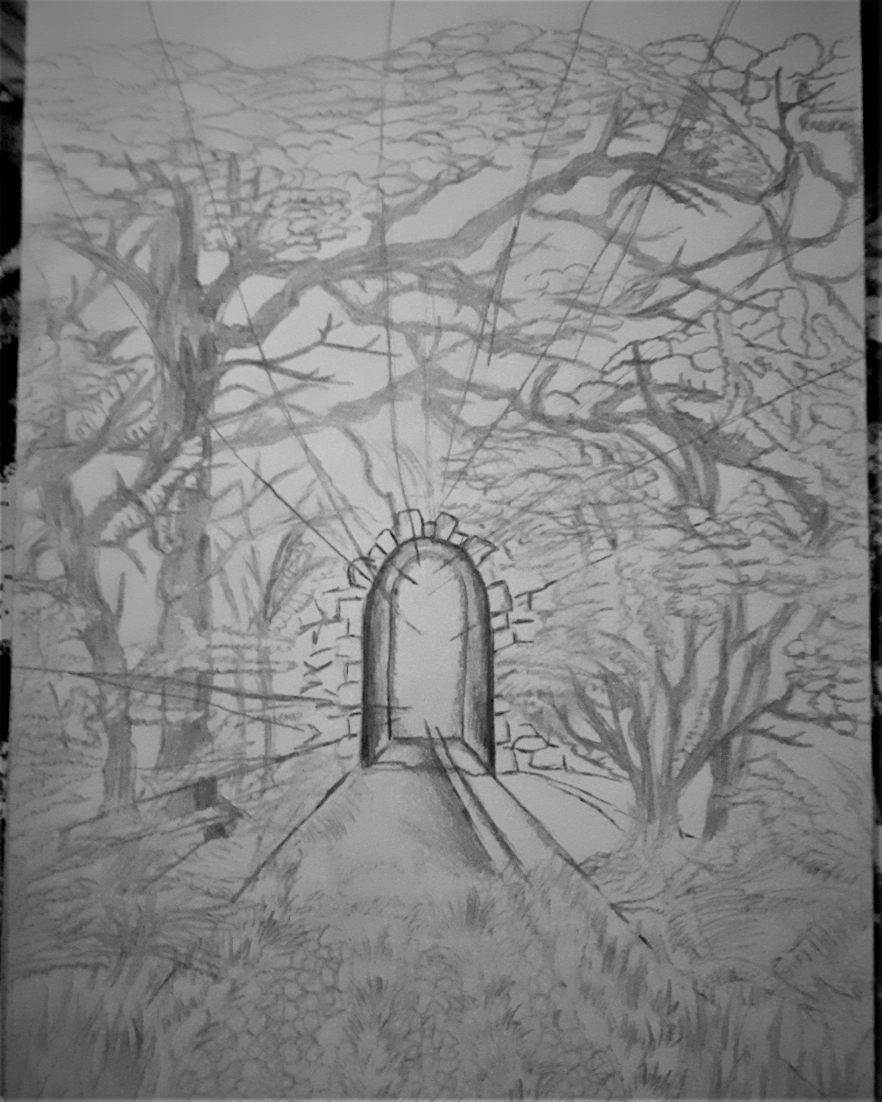 paysage magique par najibkhallouky