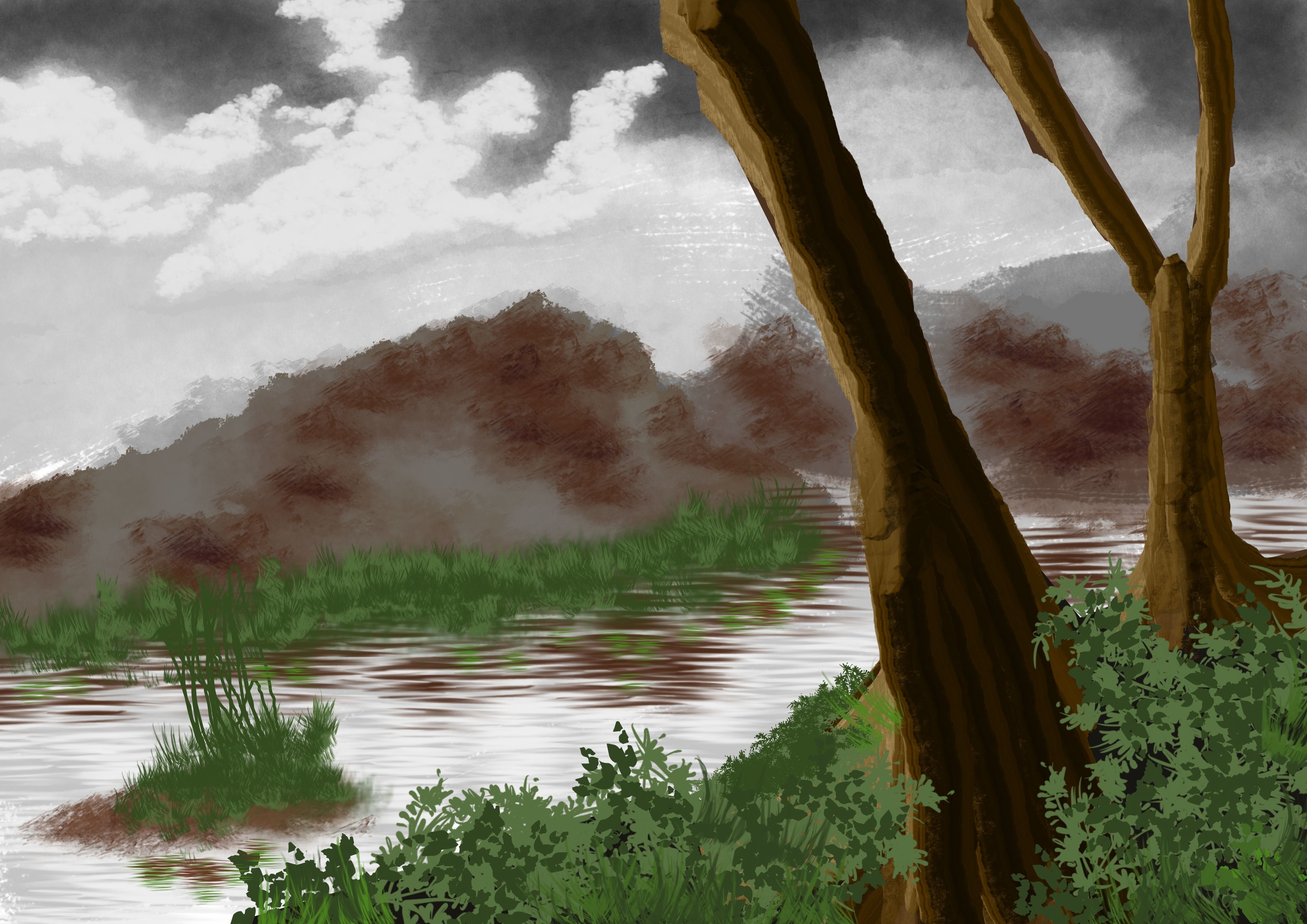 brouillard par najibkhallouky