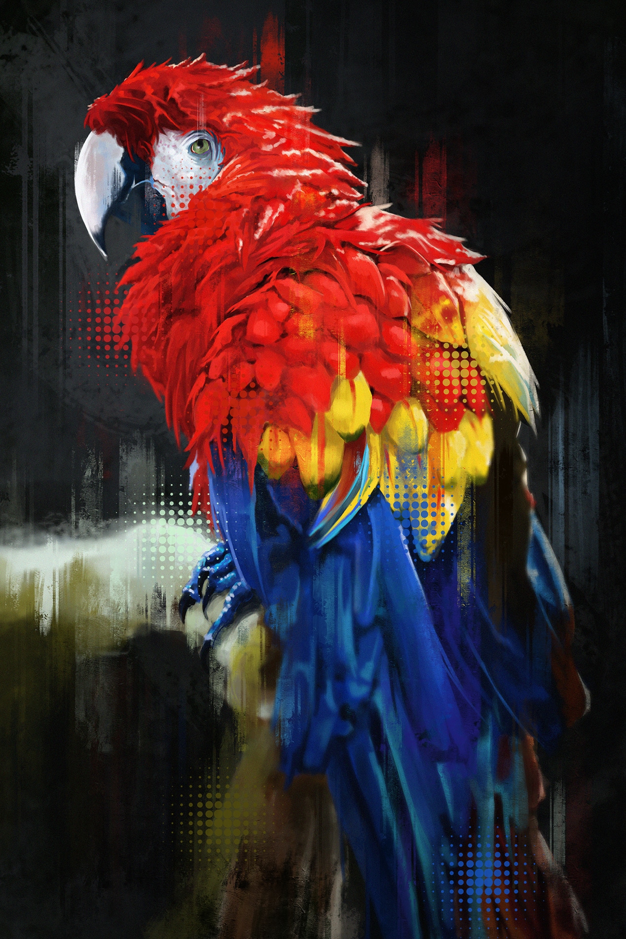 Perroquet par TiGrole