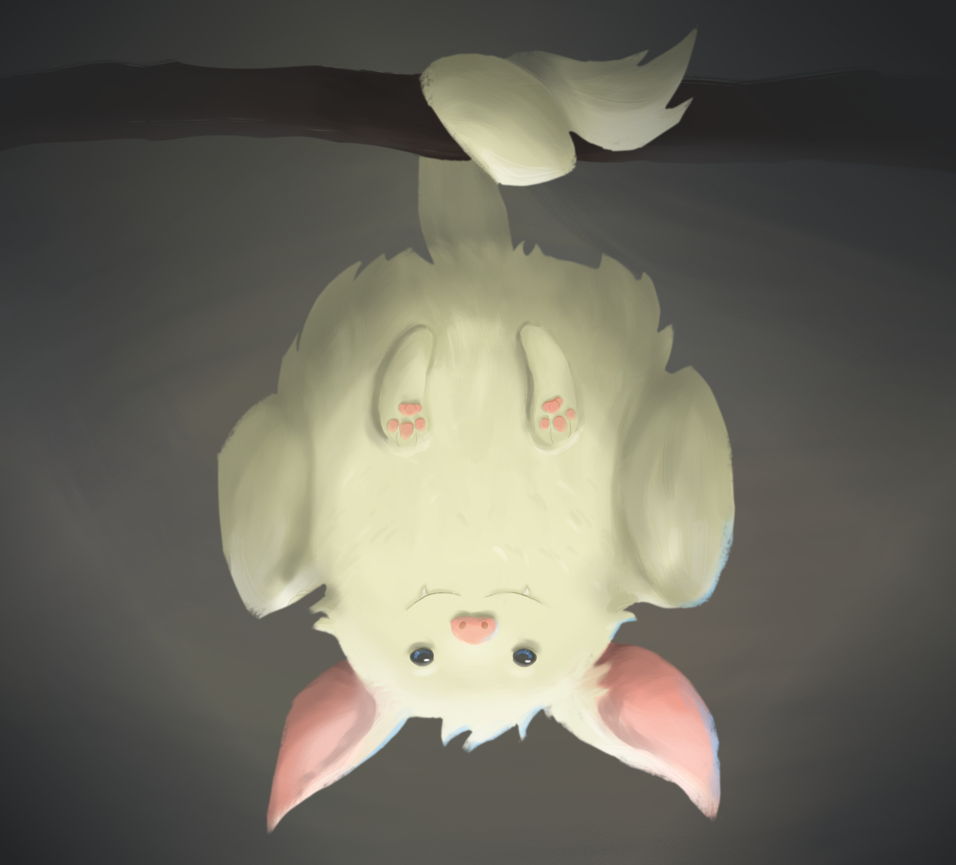 Boule-de-Neige par Raphalelle