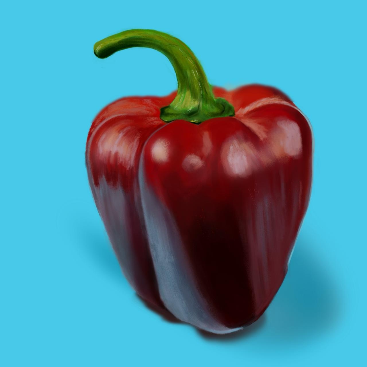 PRATIQUE PROCREATE par bumblebibi1415