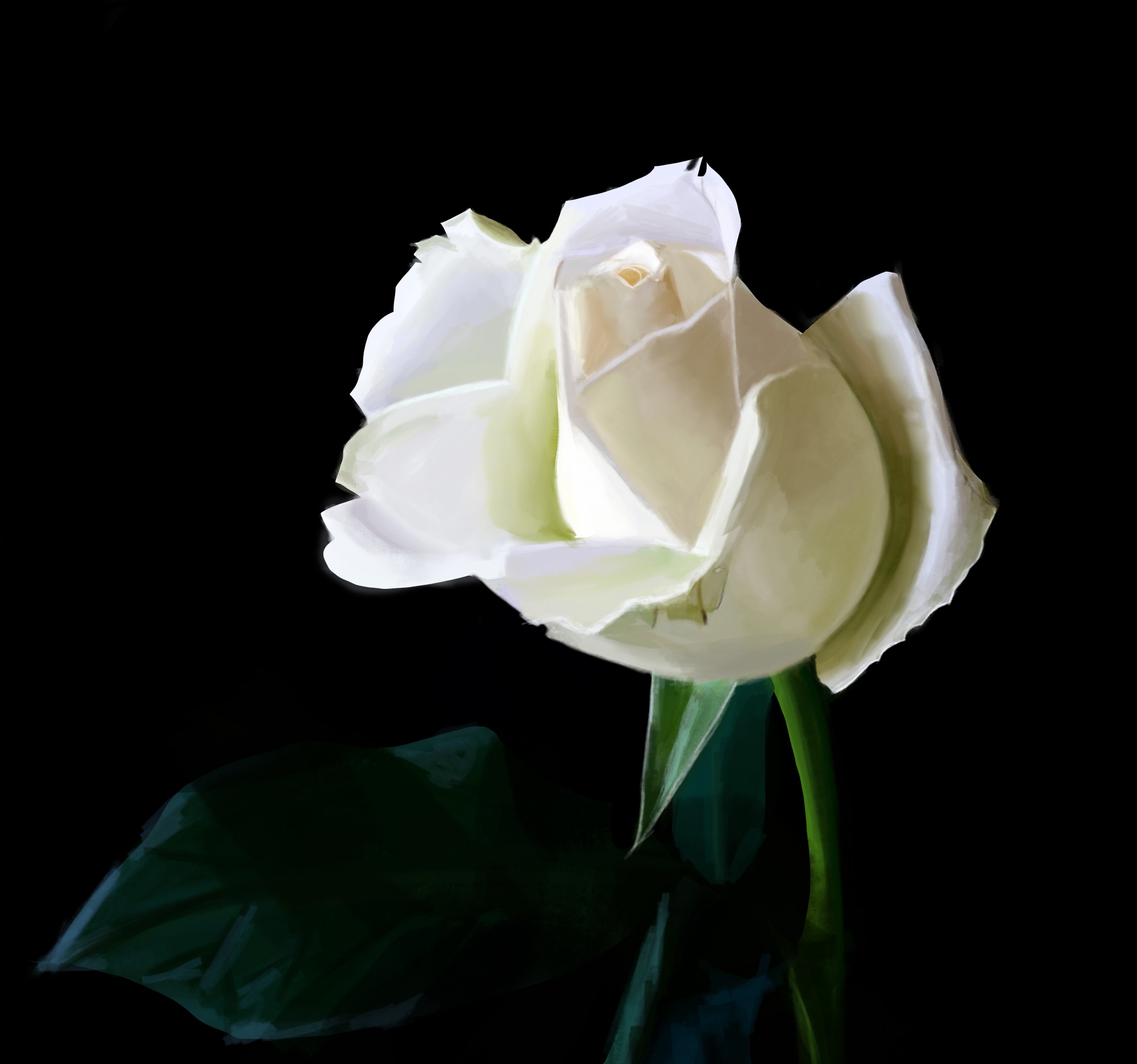 Exercice 3 : La Rose par kasobel