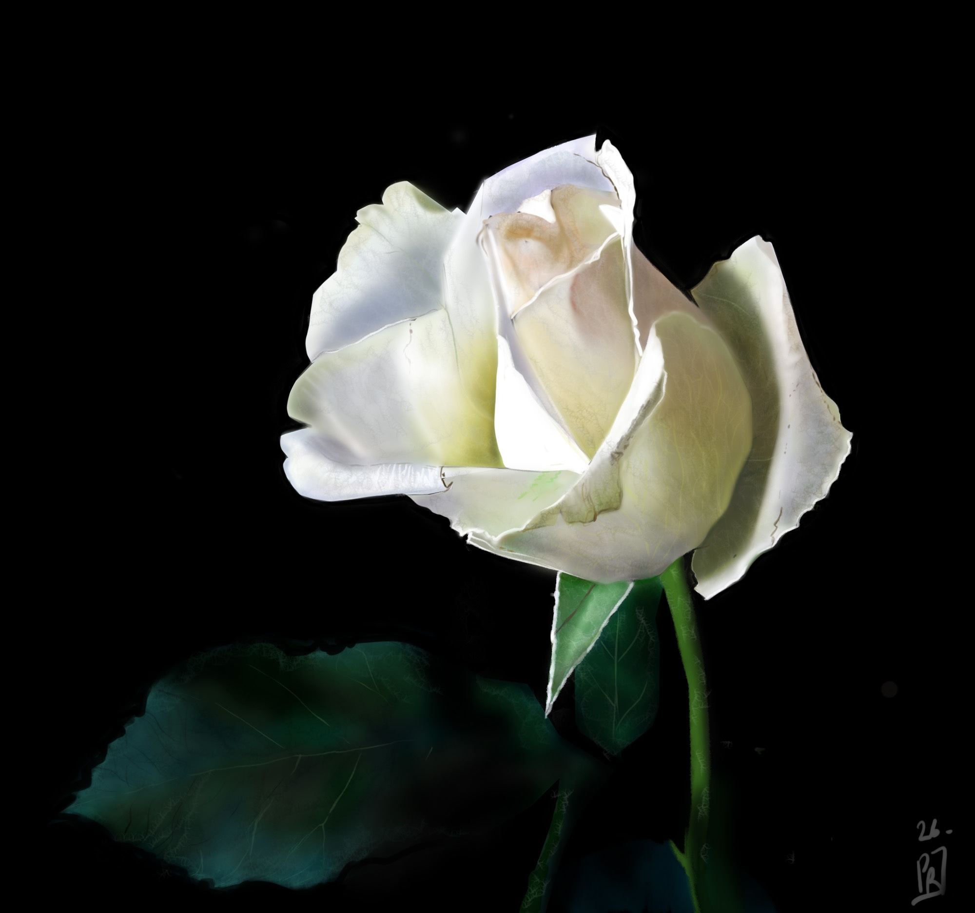 Exercice 3 - La rose 🌹 par polya