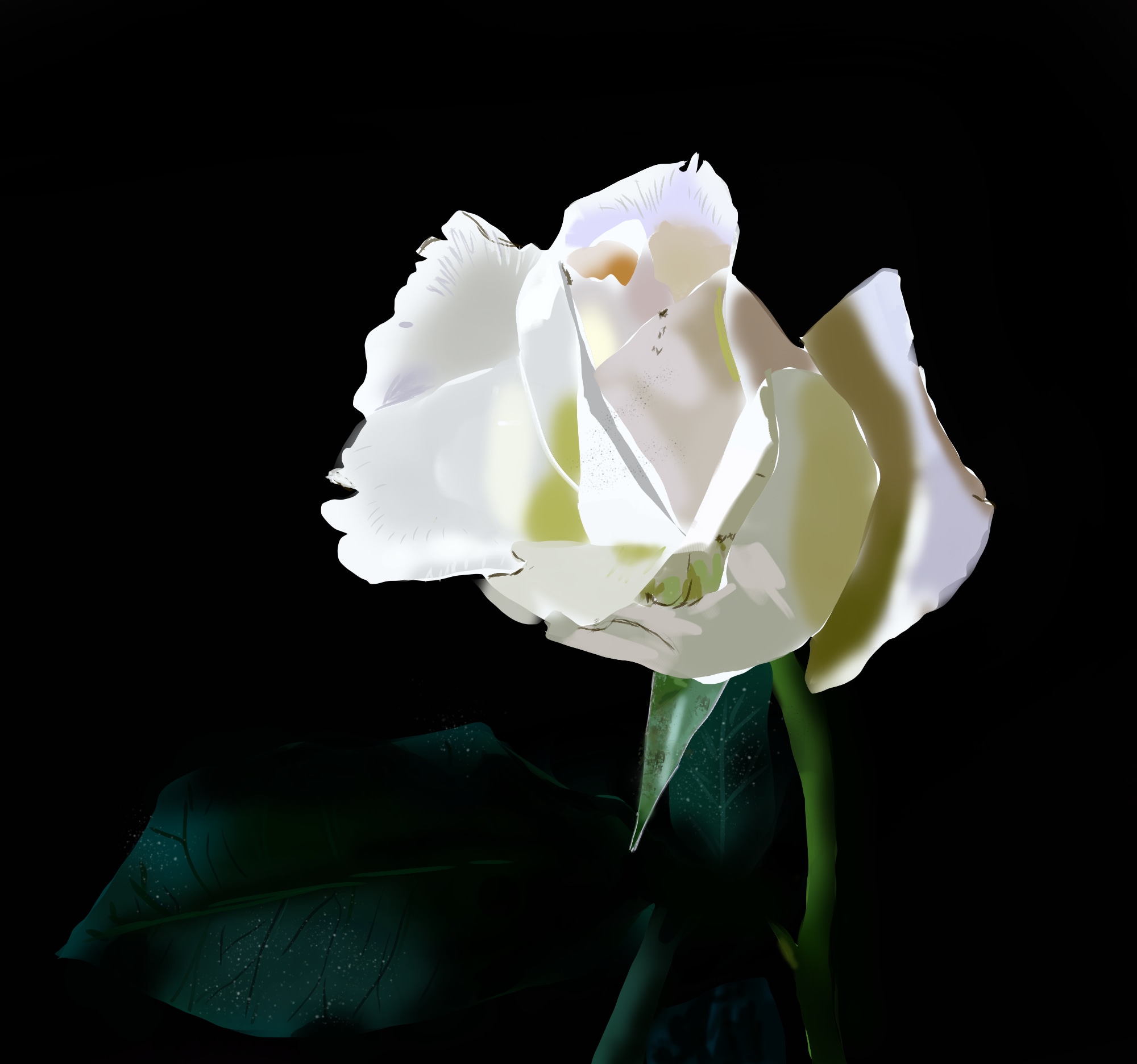 Chapitre 1: Exercice 3 - La Rose par Tal Mizzi
