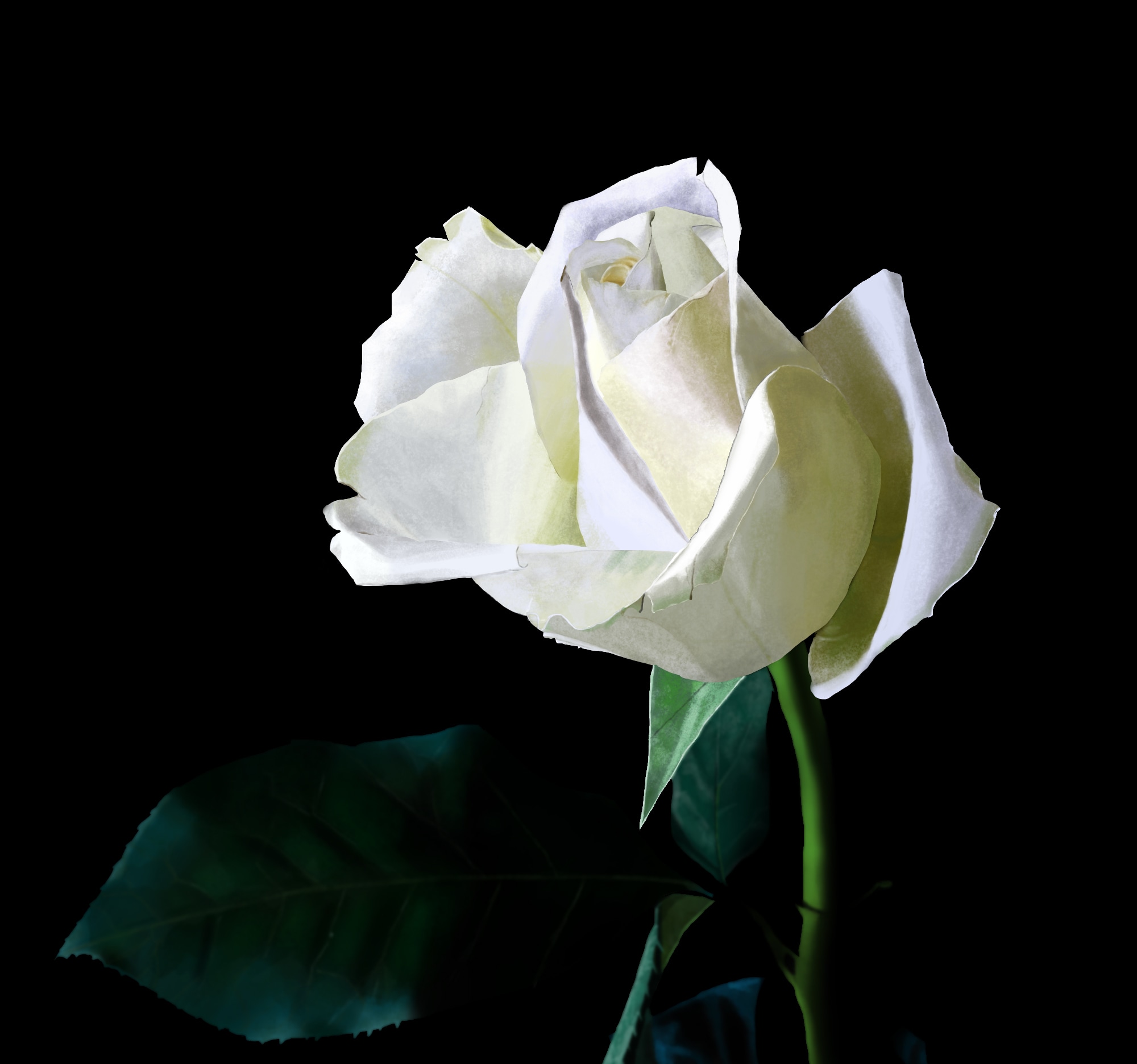 Exercice 3 du Chapitre 1 - La fleur par Arka