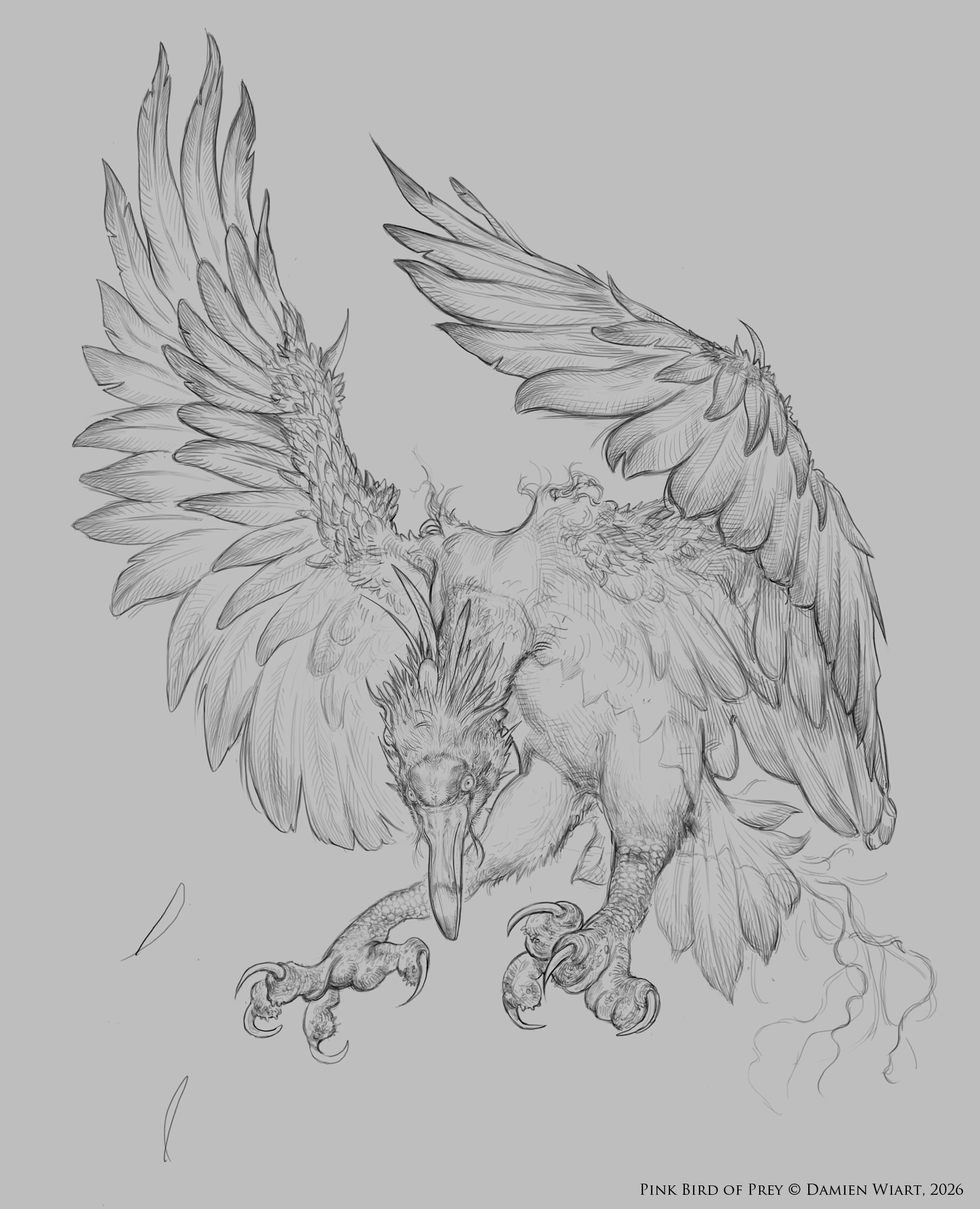 Rapace Rosé - Creature Design par damien_wiart