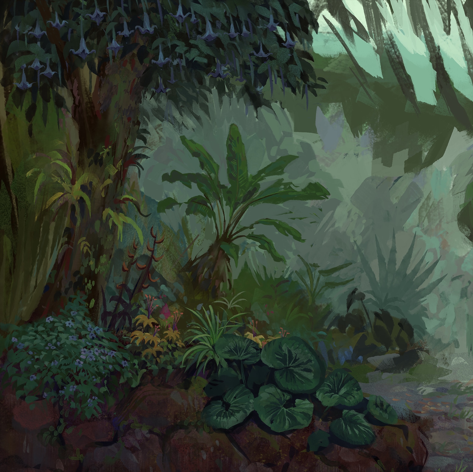 Plantes par Alex