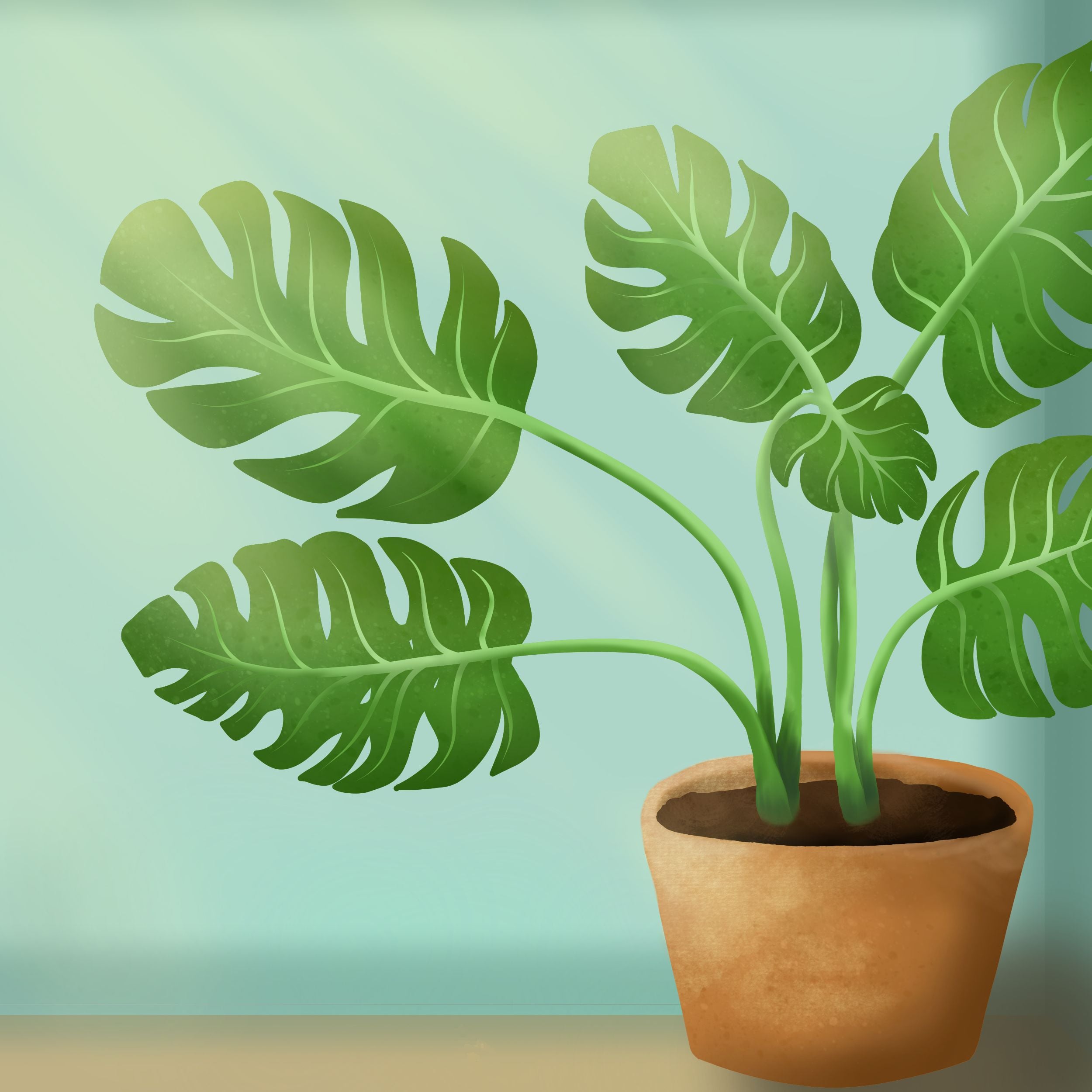 Monstera test par unie_takashi