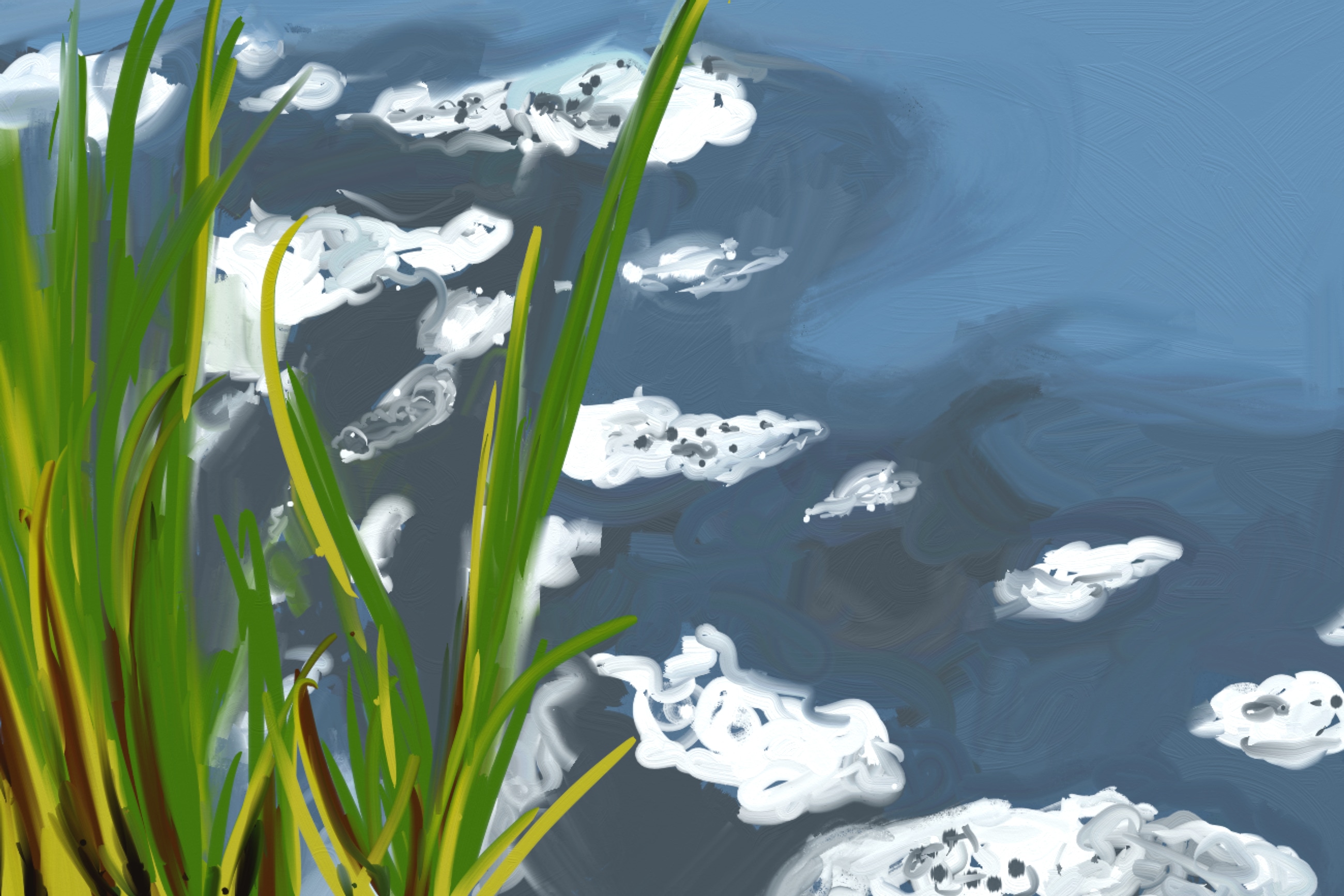 Pollution par cila