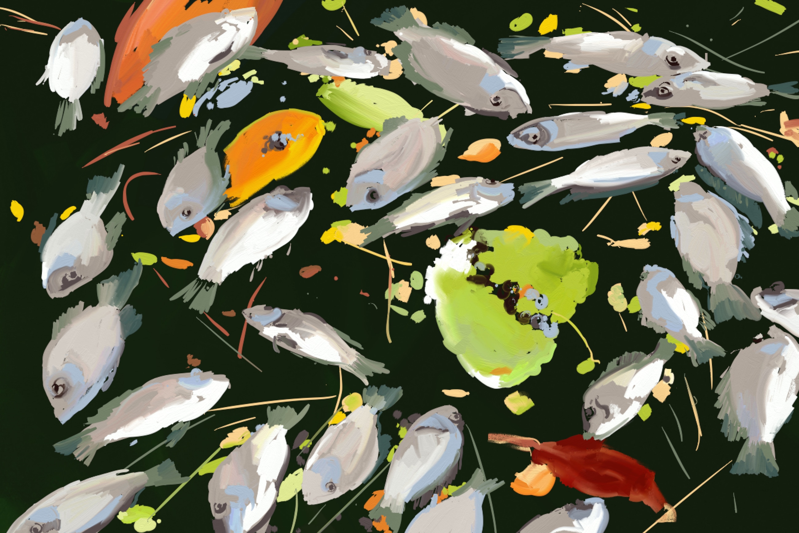 Pollution par cila