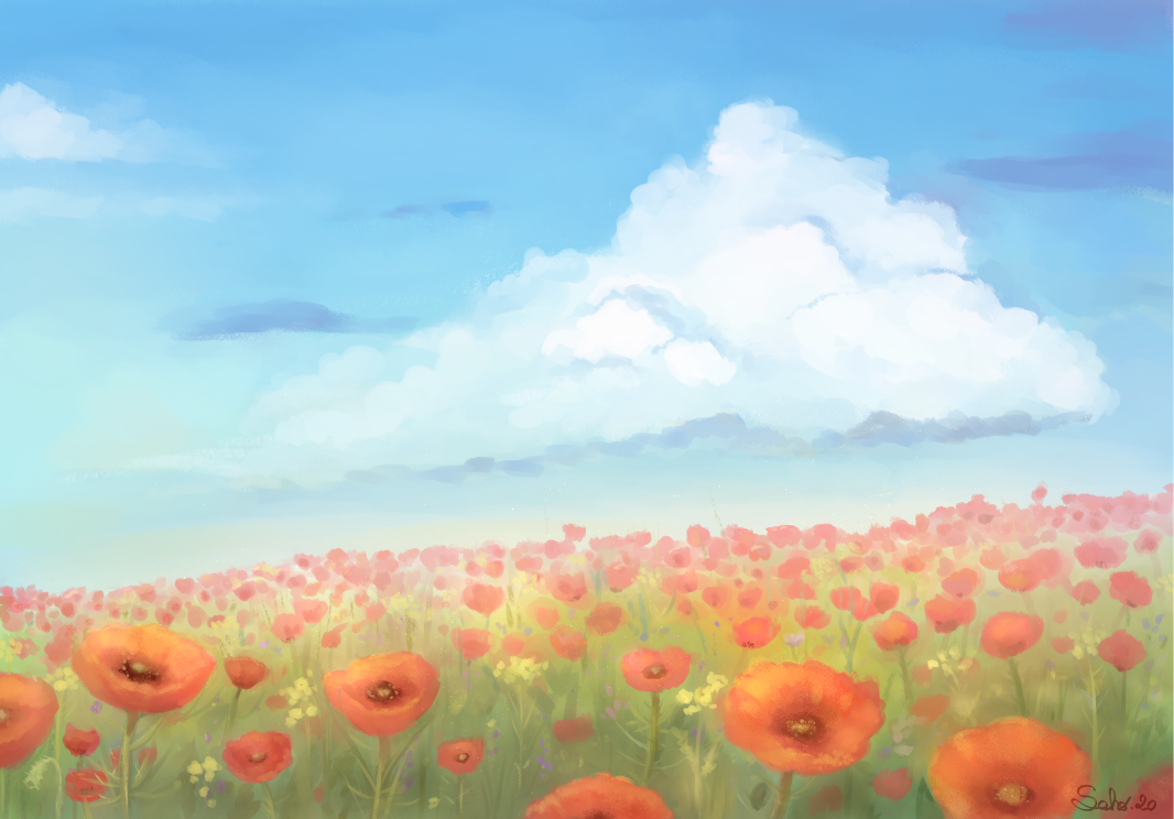 Poppies par Saho.