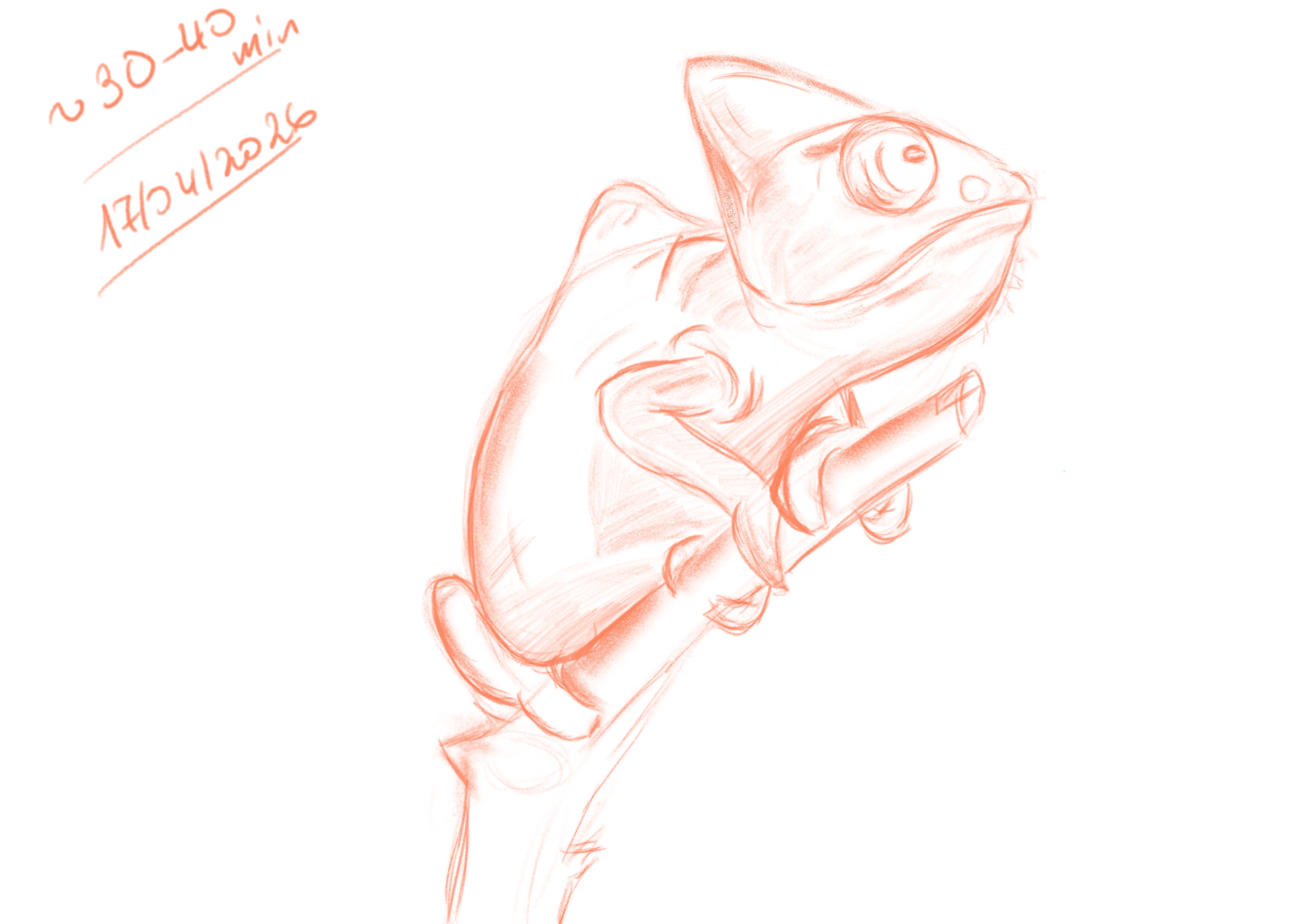 Partie 1 : Débuter et progresser en digital painting par wintergrim