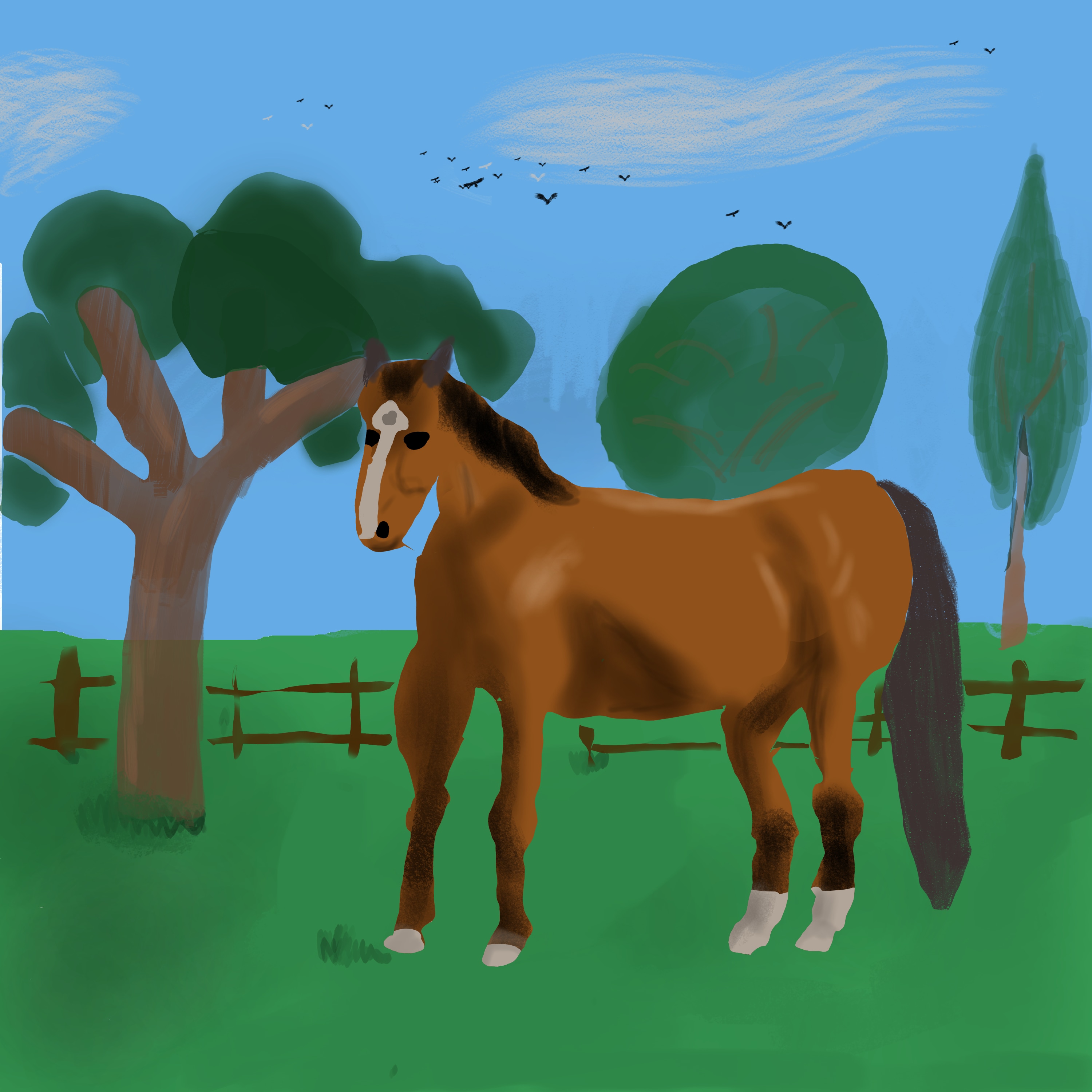 Première "oeuvre" par edwintorisaen