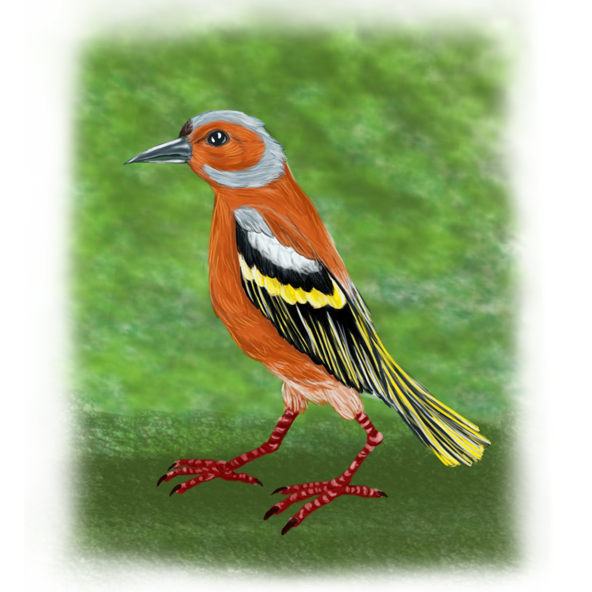 Premier essai par cucumber